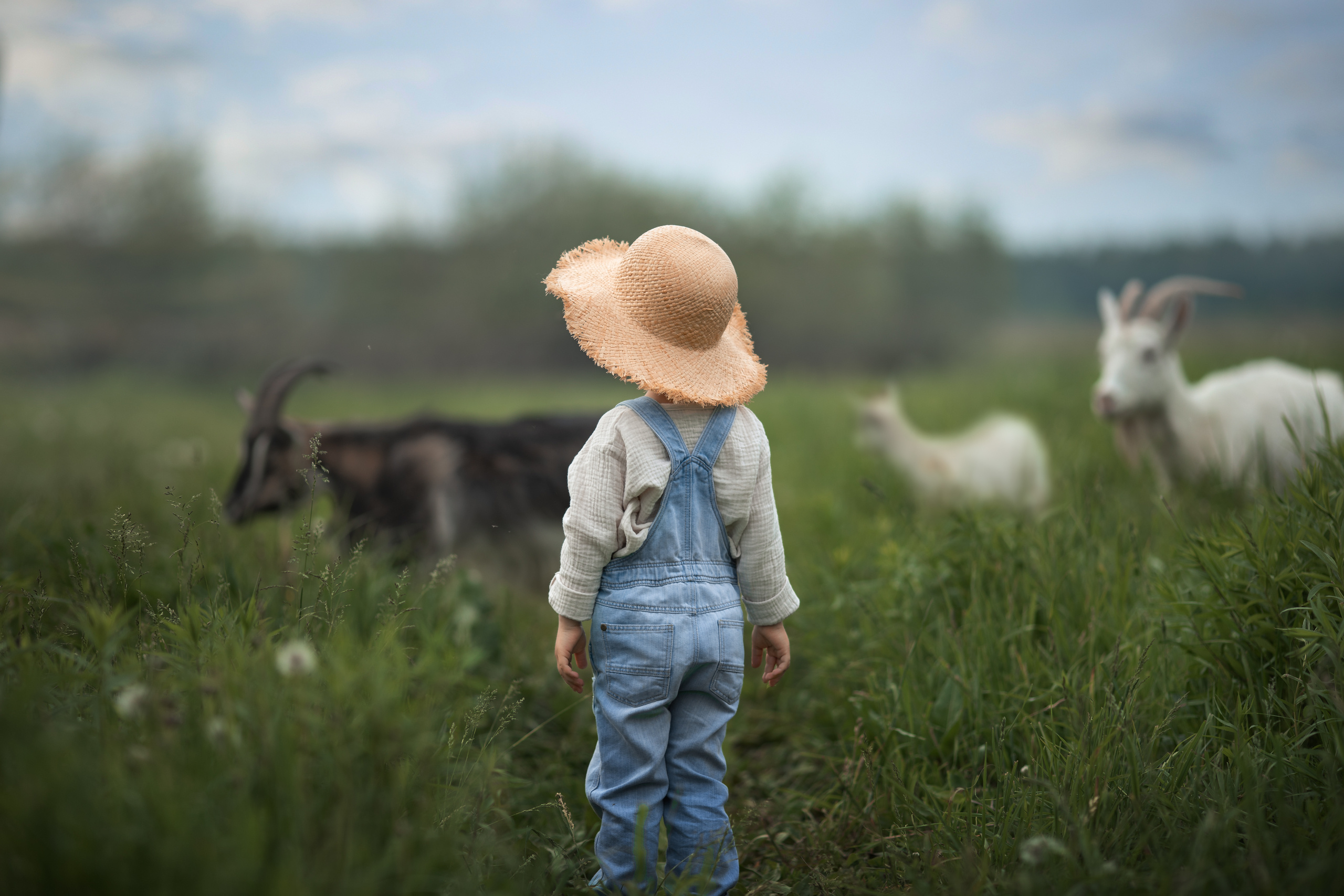 Детская фотосъемка в Нижнем новгороде. Arma Gray — Нижний Новгород