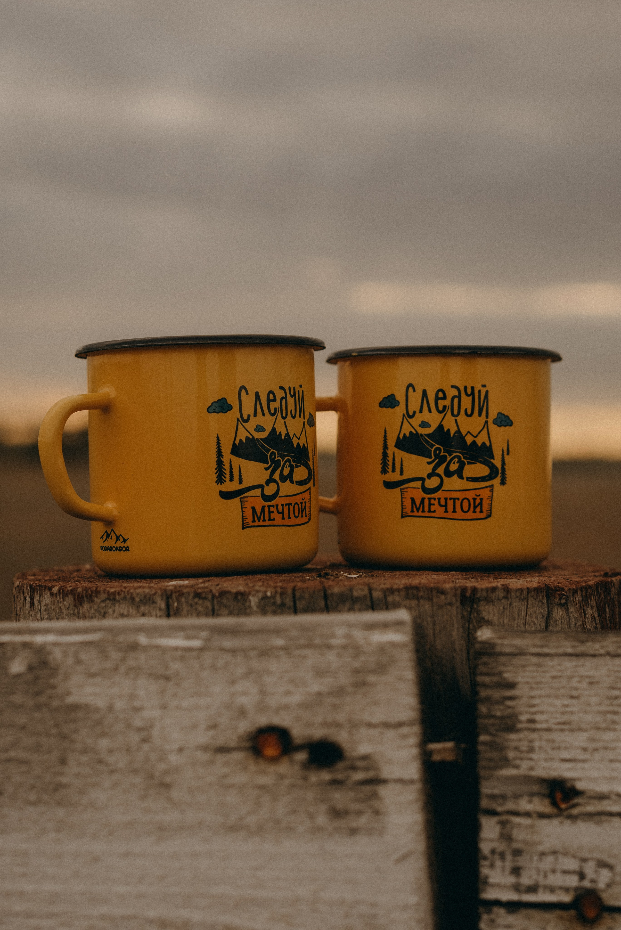 Света и Даша