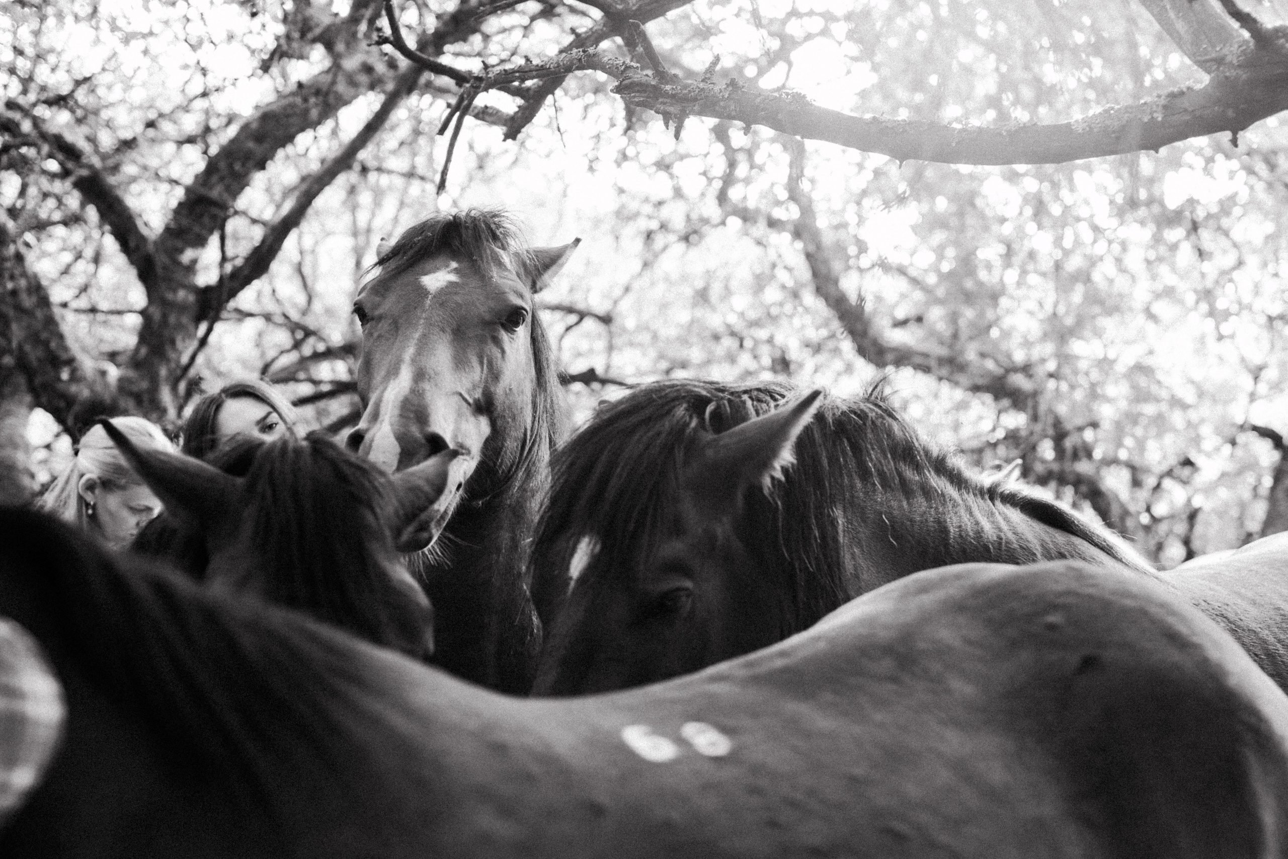 Репортаж для «Райского сада». Портретный и семейный фотограф в Минске