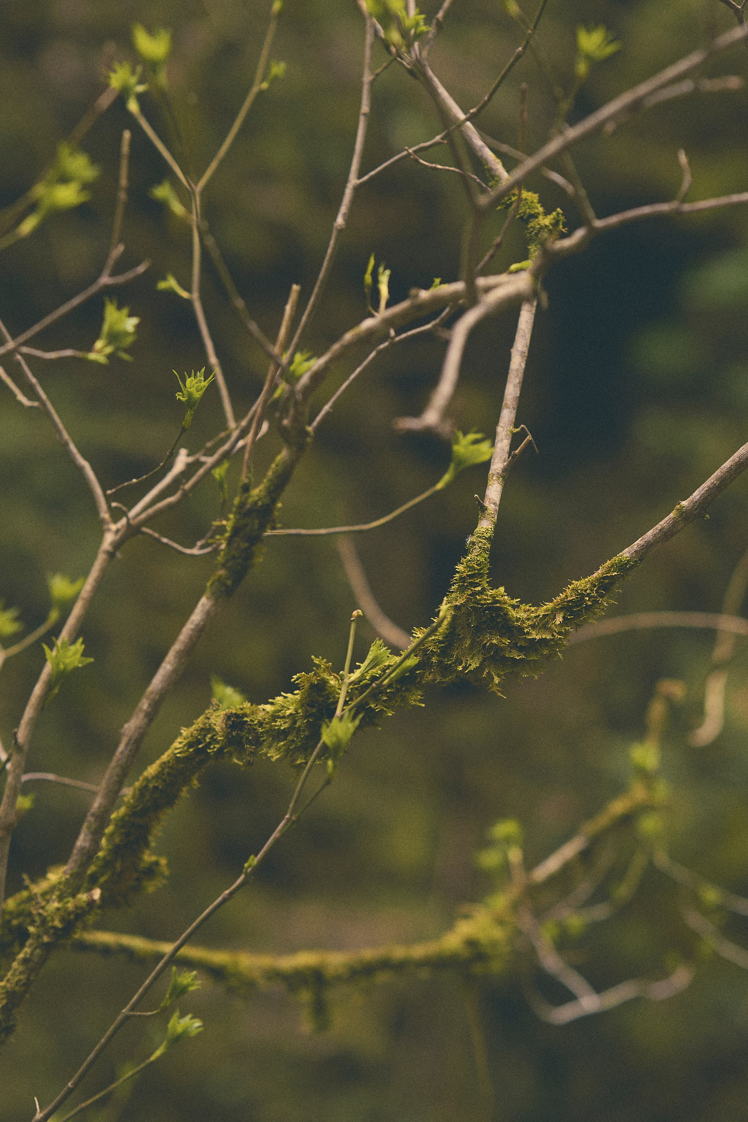 Krasnodar. Гасанова Алина|Фотограф в Санкт-Петербурге