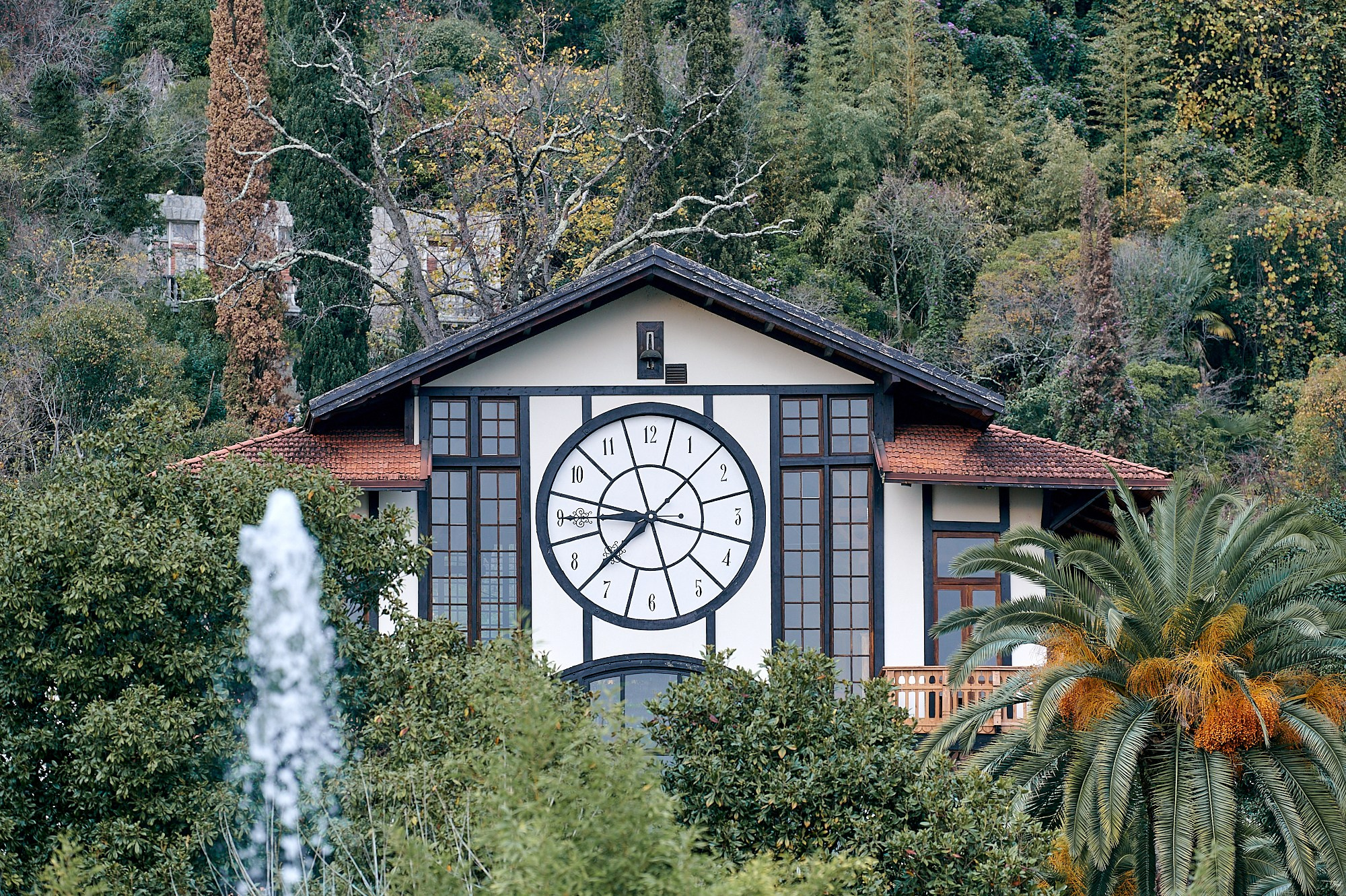 Гагра, Абхазия. Декабрь 2024. Фотографии отовсюду и обо всем