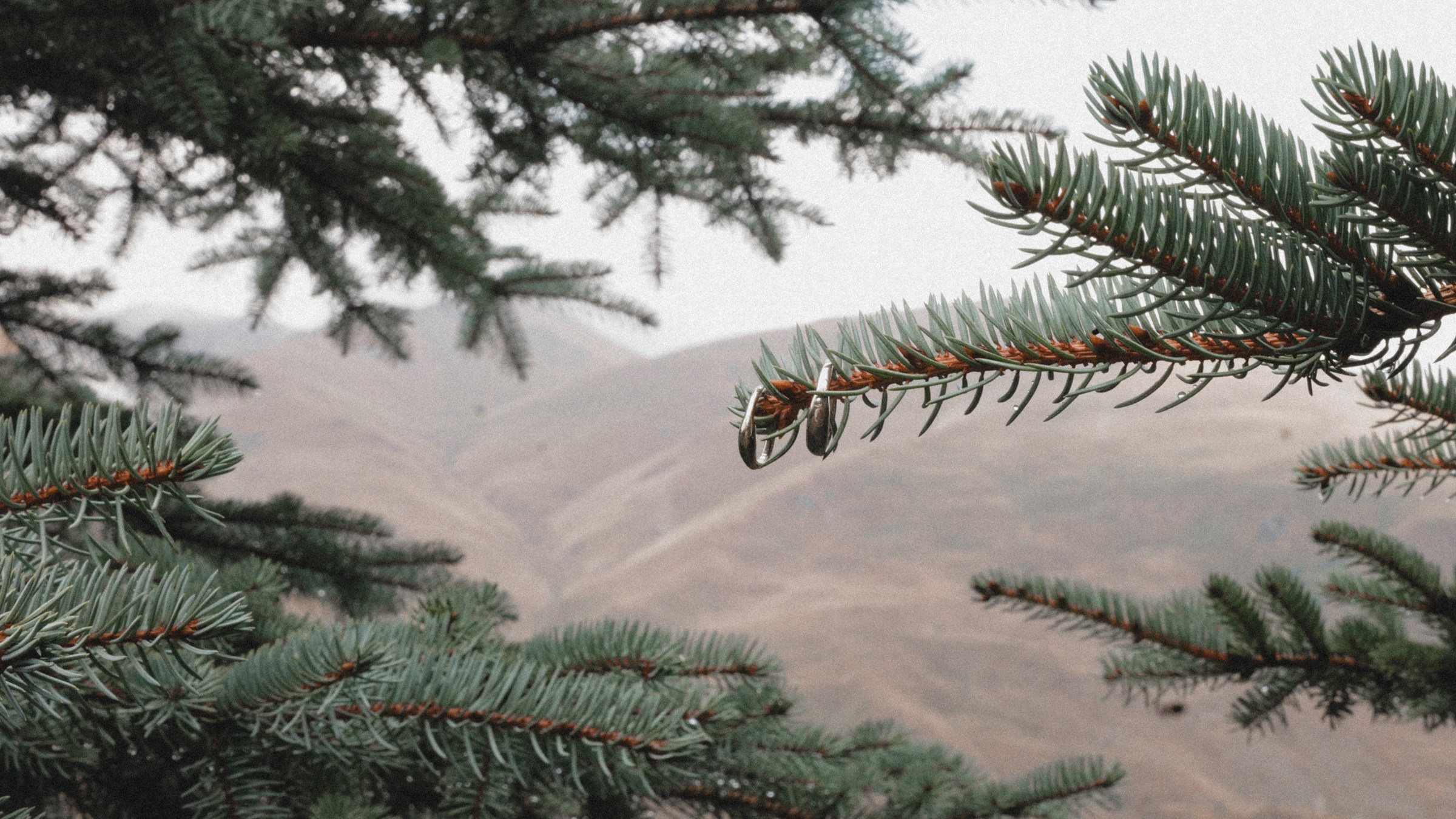 Воздух, горы, семья. Свадебный фотограф в Ярославле Илья Жуков