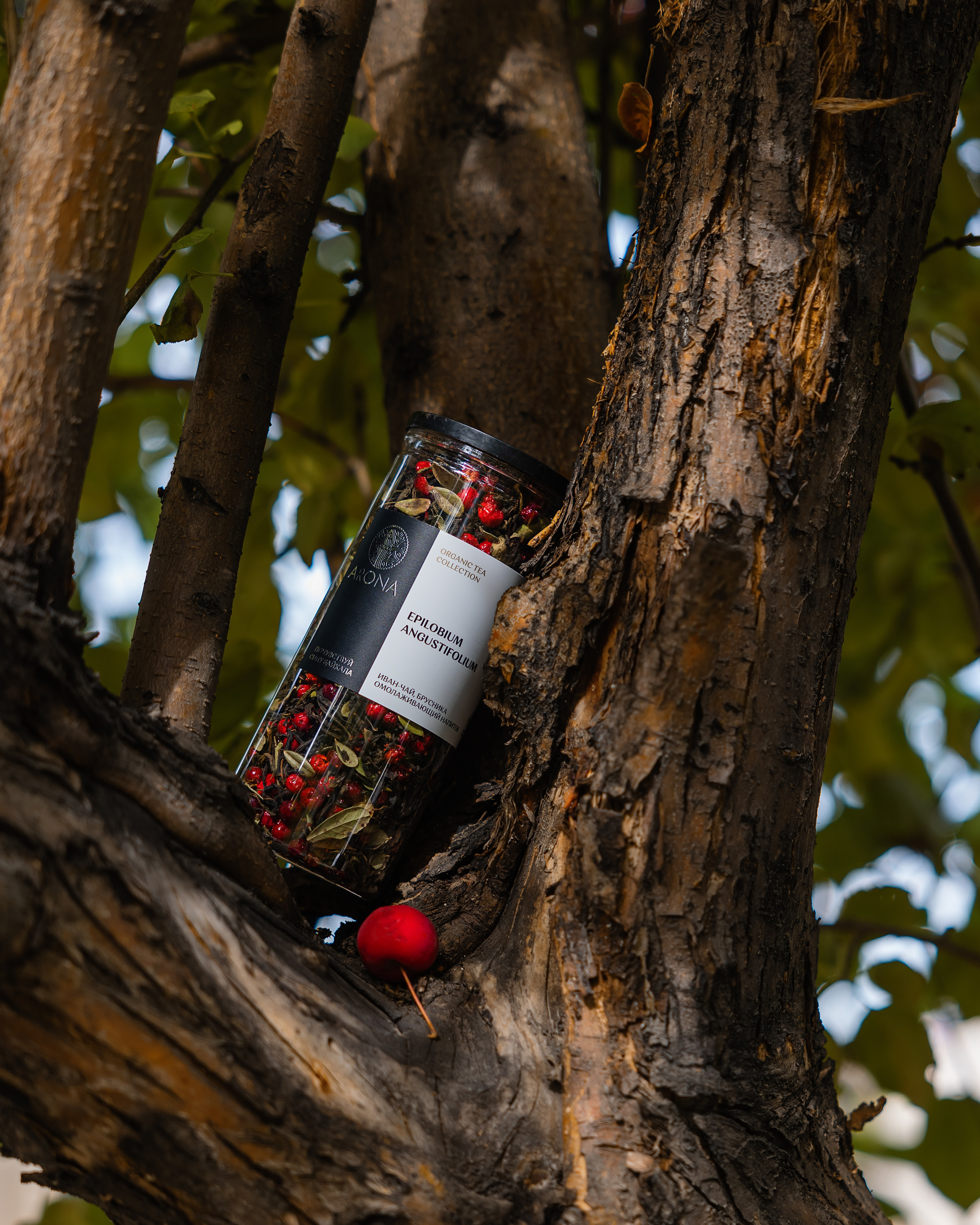 @arona. Фотограф и видеограф в Улан-Удэ: Аюна Габагуева и Артём Шаханов