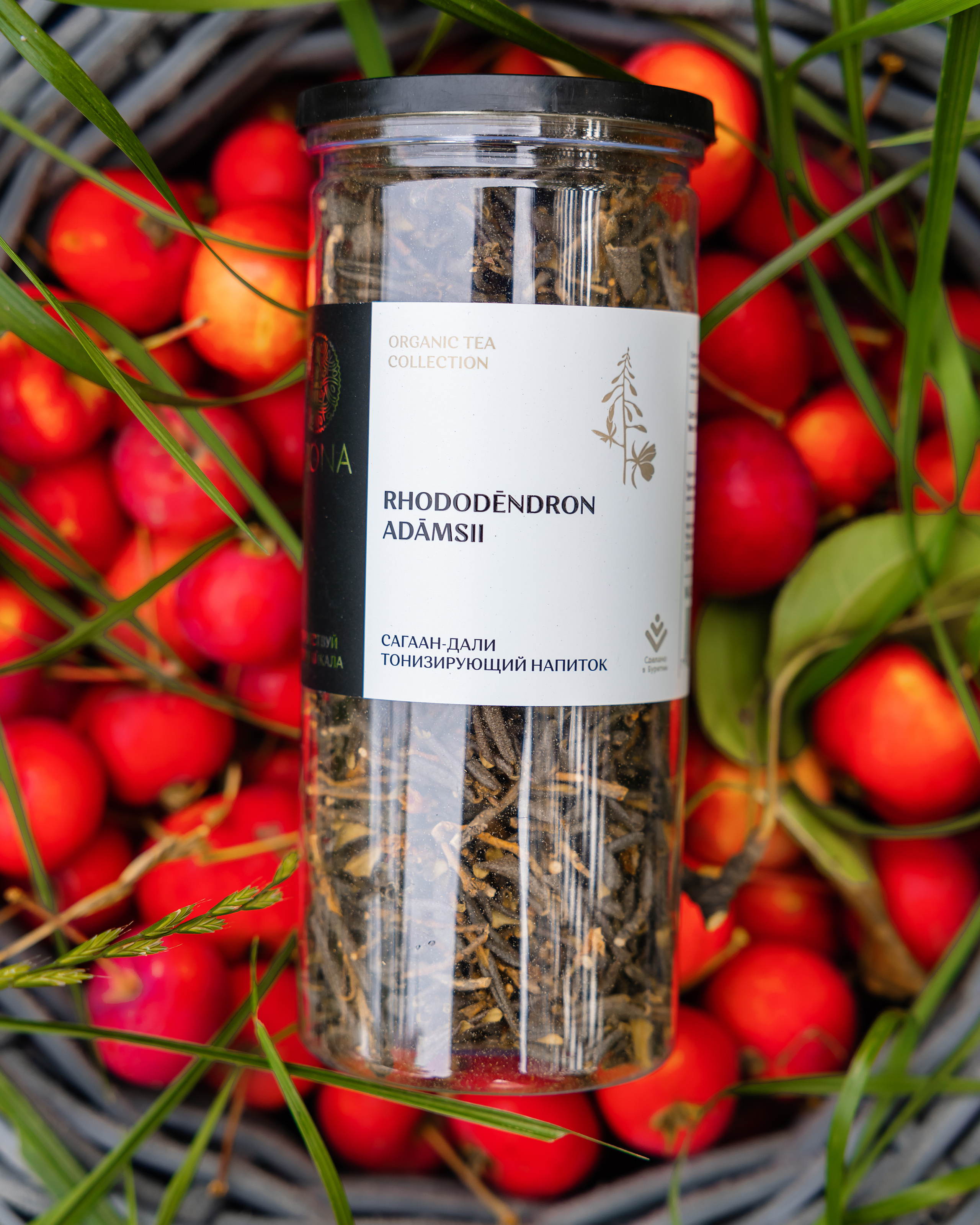 @arona. Фотограф и видеограф в Улан-Удэ: Аюна Габагуева и Артём Шаханов