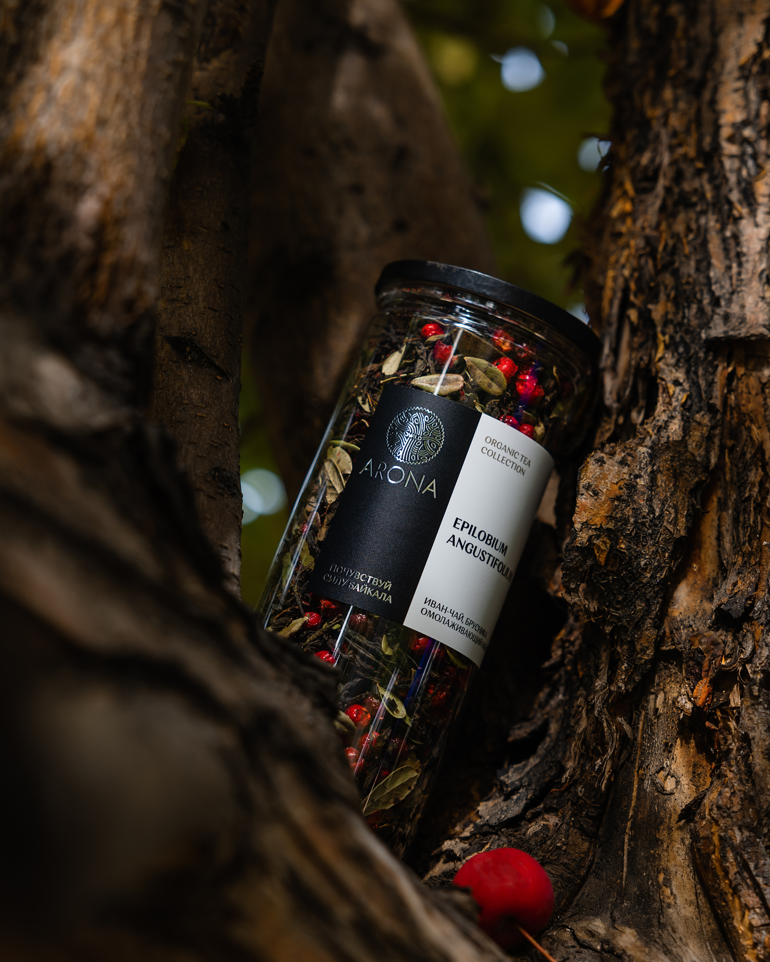 @arona. Фотограф и видеограф в Улан-Удэ: Аюна Габагуева и Артём Шаханов