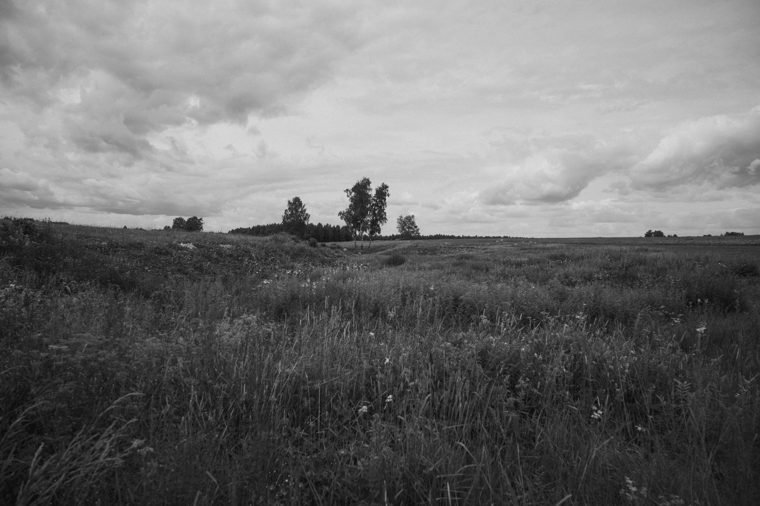 Intemporel. F11 production