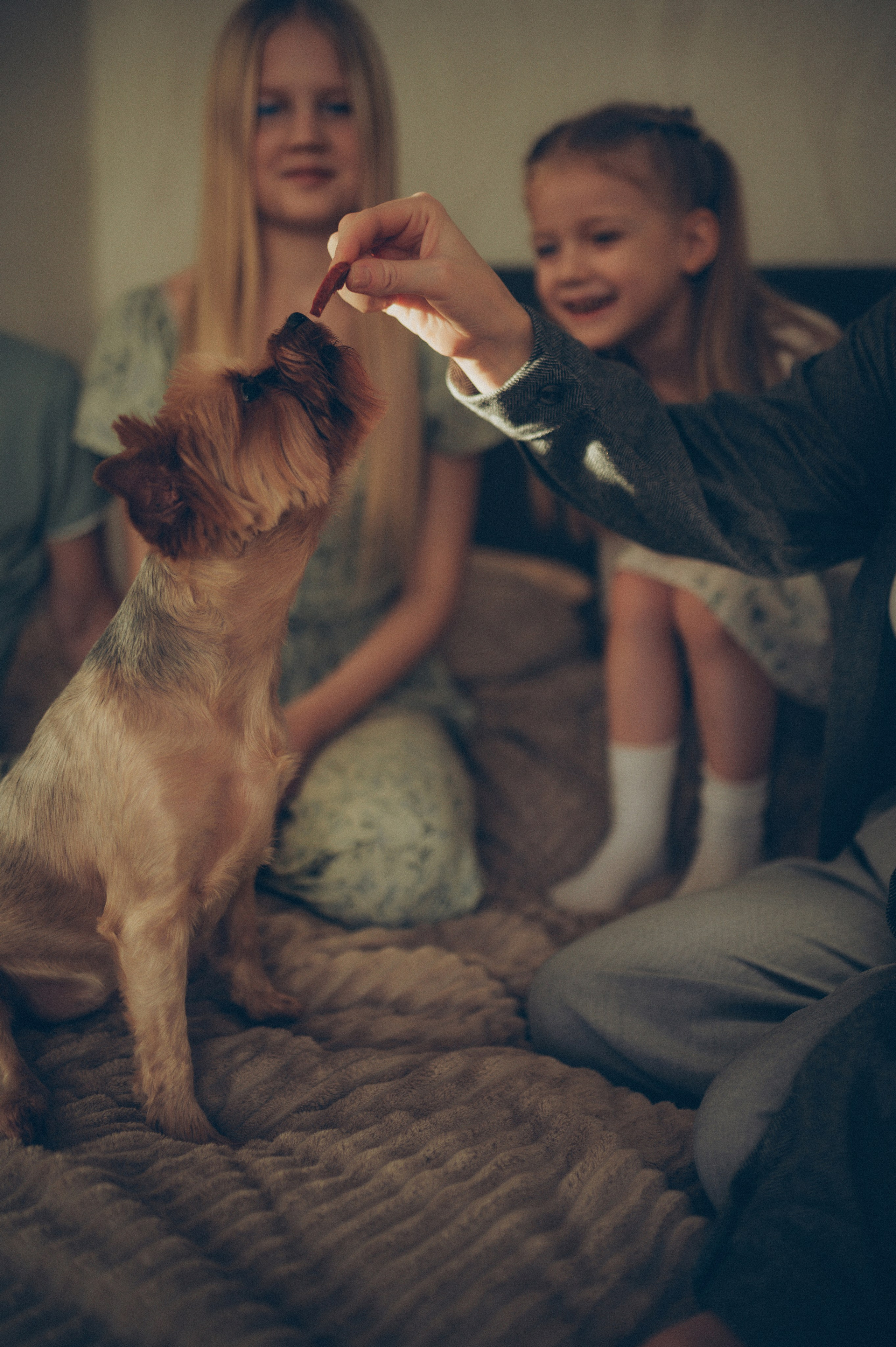 Тася, Соня, Женя и Илья (домашняя). Фотограф, г. Лесной Свердловской области
