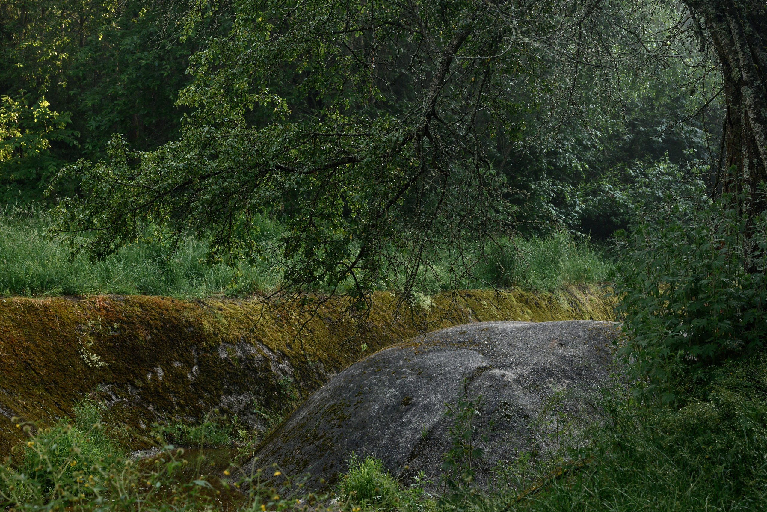 Места. Фотограф в Минске Дарья Кончакова