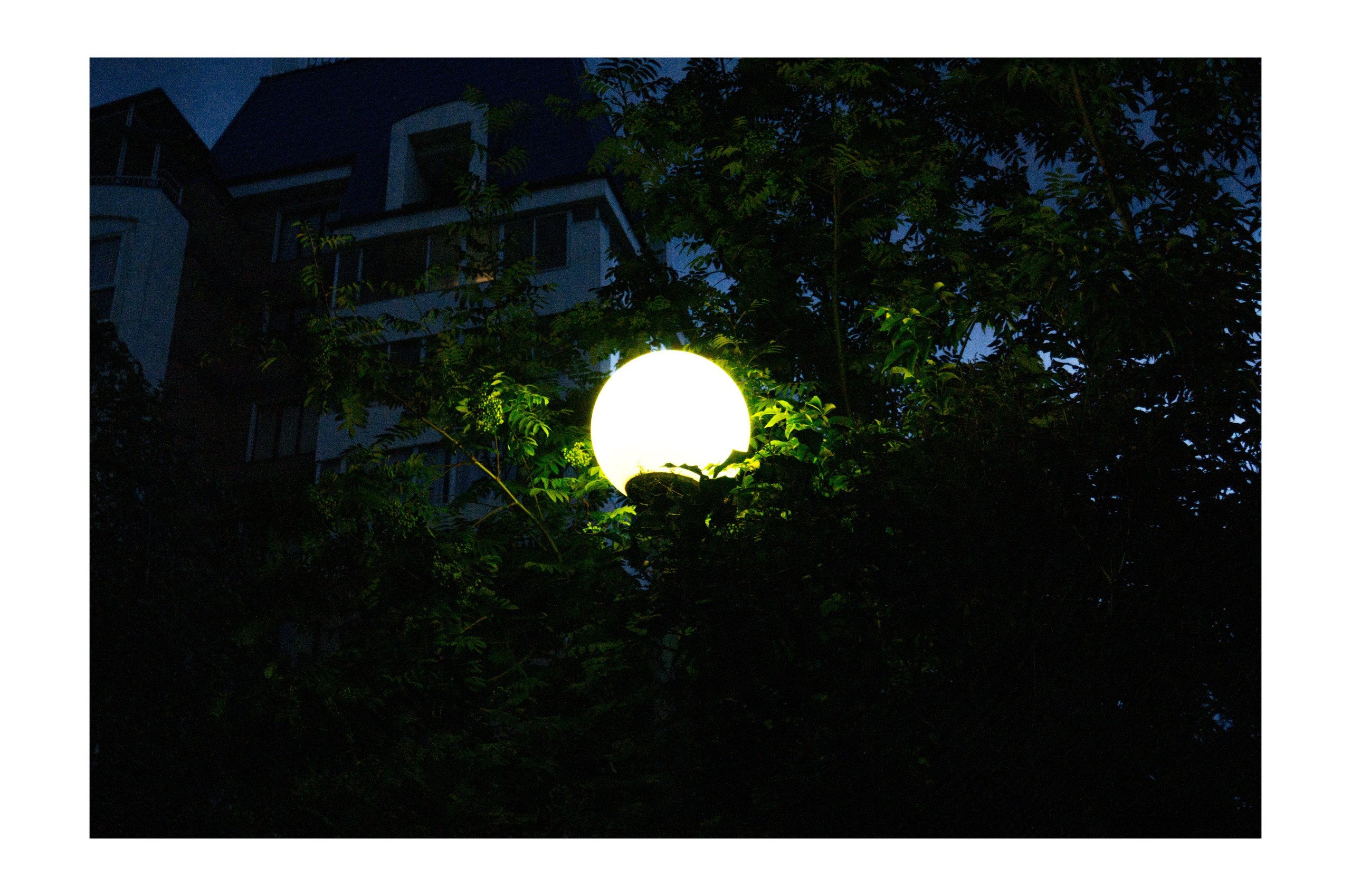 02.07.2025 | Красноярск. Kuznetsov | Фотограф в Красноярске