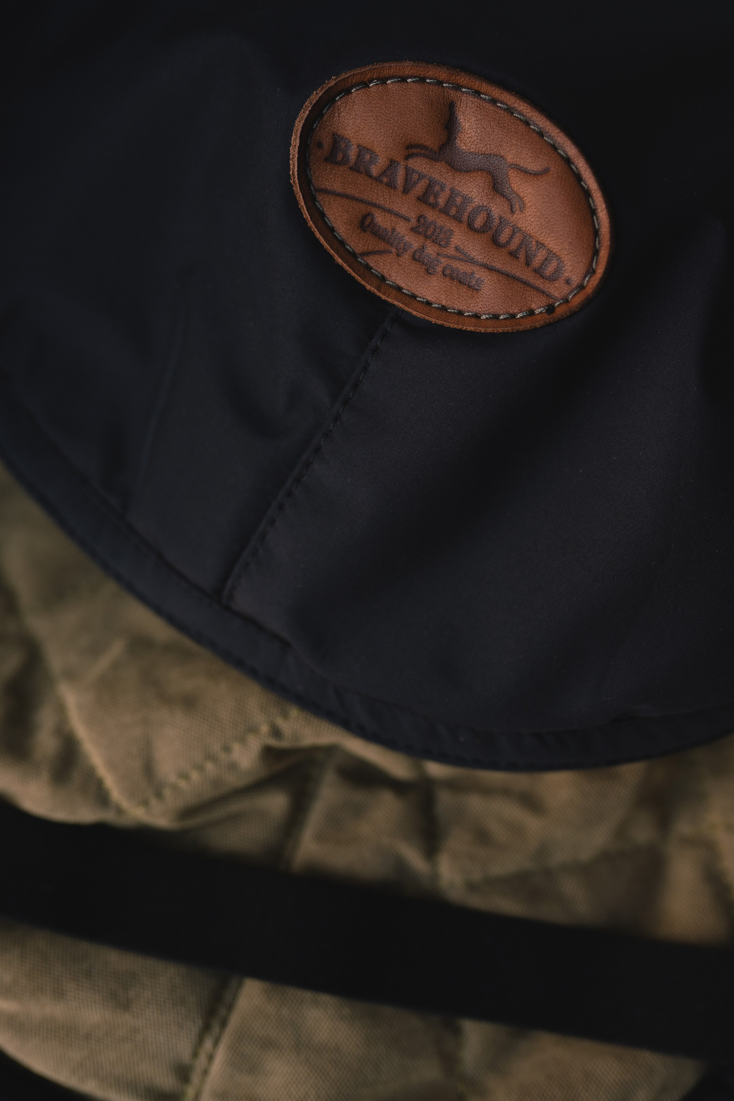 Одежда для собак Bravehound. Фотограф анималист Осипчикова Мария