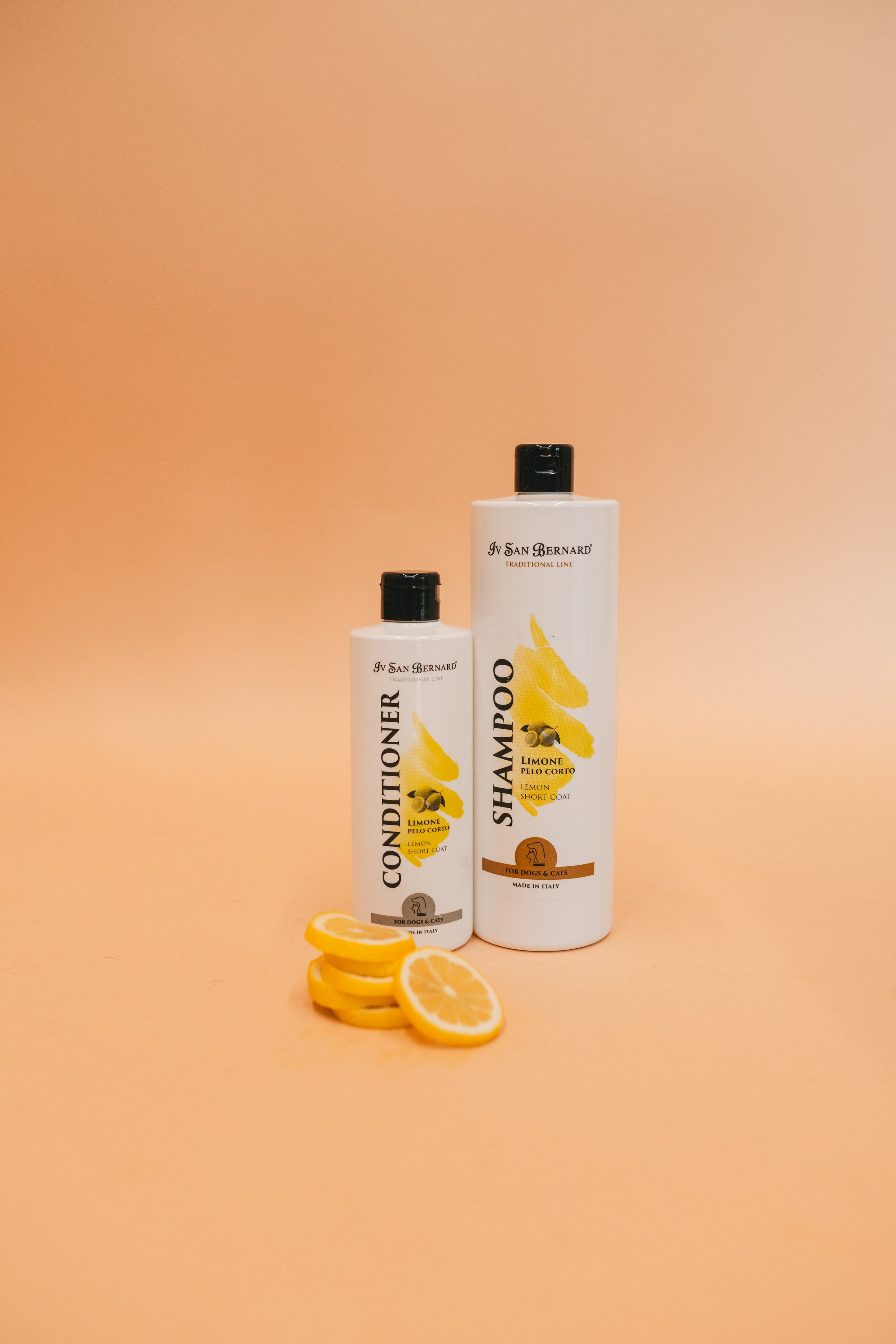 Груминг — салон. Фотограф анималист Осипчикова Мария