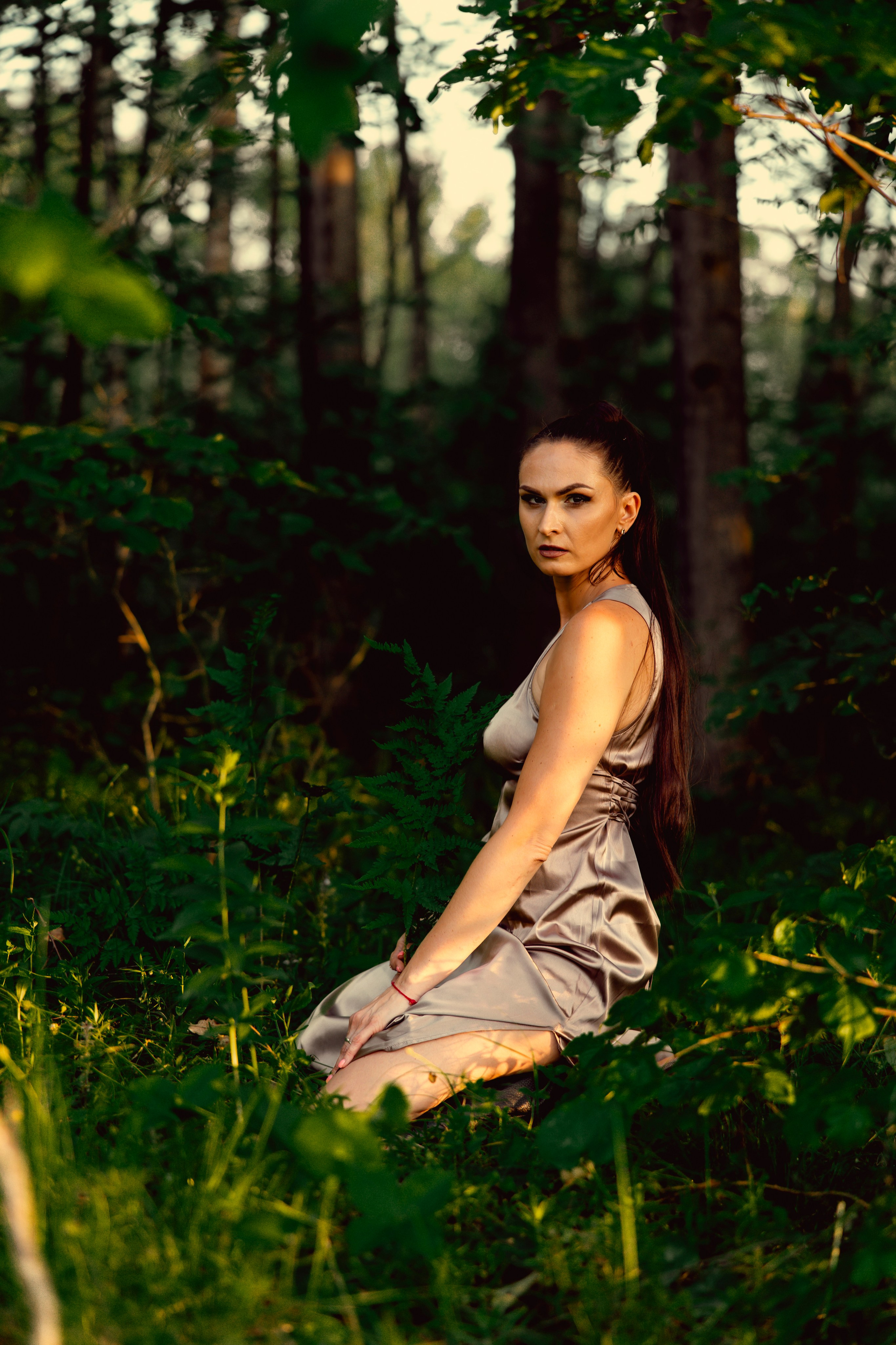 Древесные узоры. Сказочный фотограф для Вас и Вашей семьи