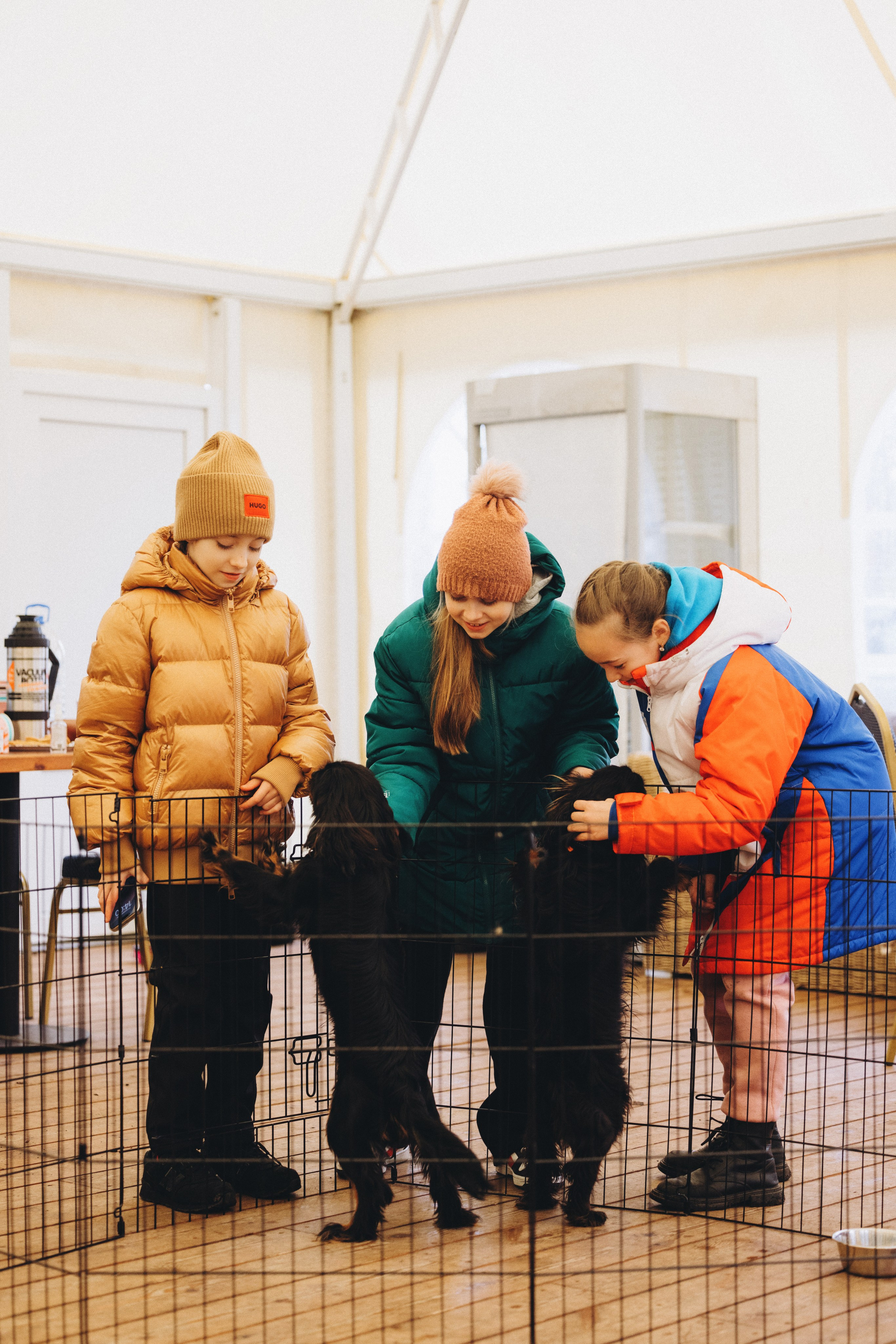 Встреча ККЧС. Фотограф анималист Осипчикова Мария