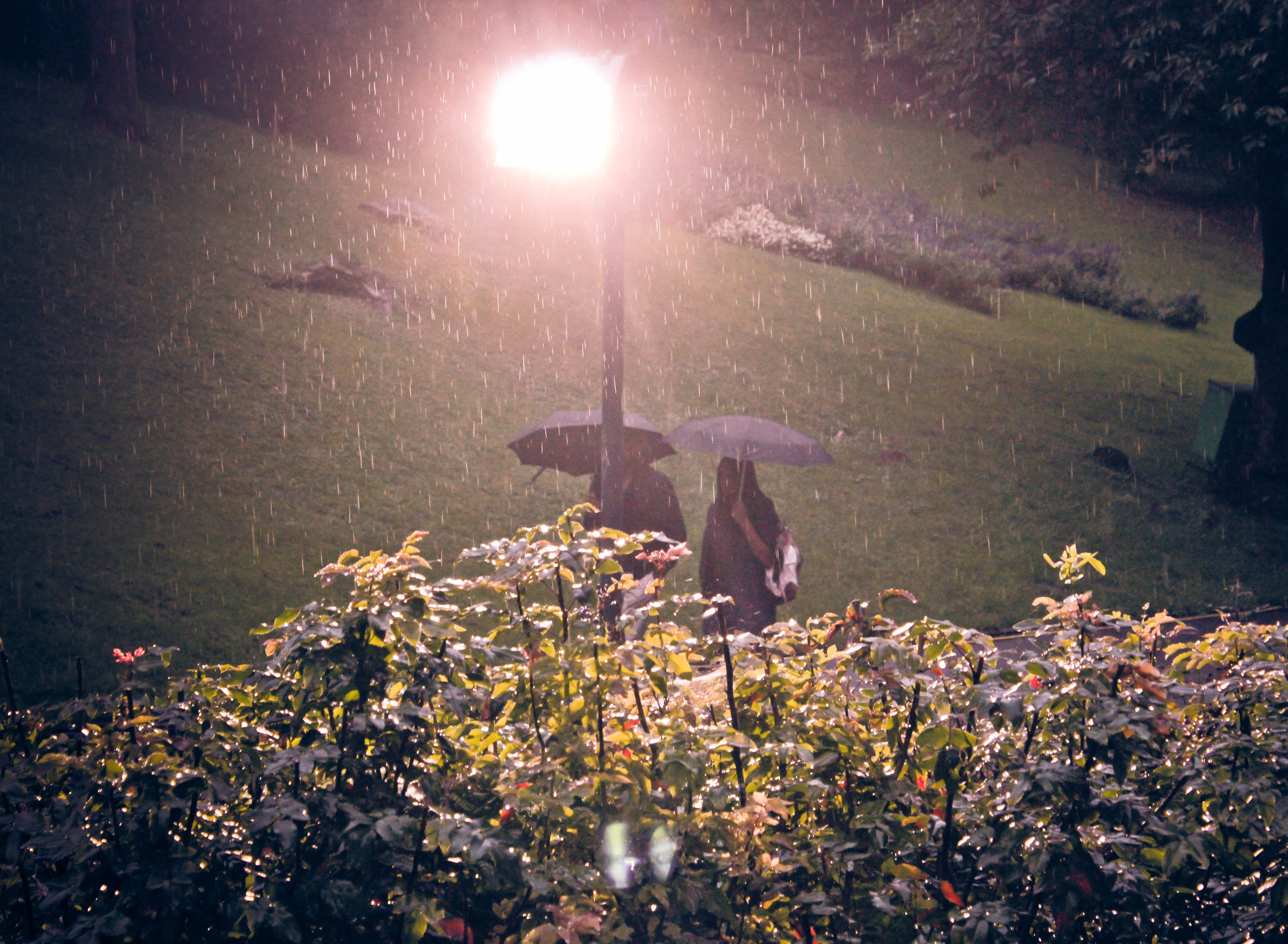 ГЕРМАНИЯ. Стрит-фотография, полная абсурда, идиотизма и красоты