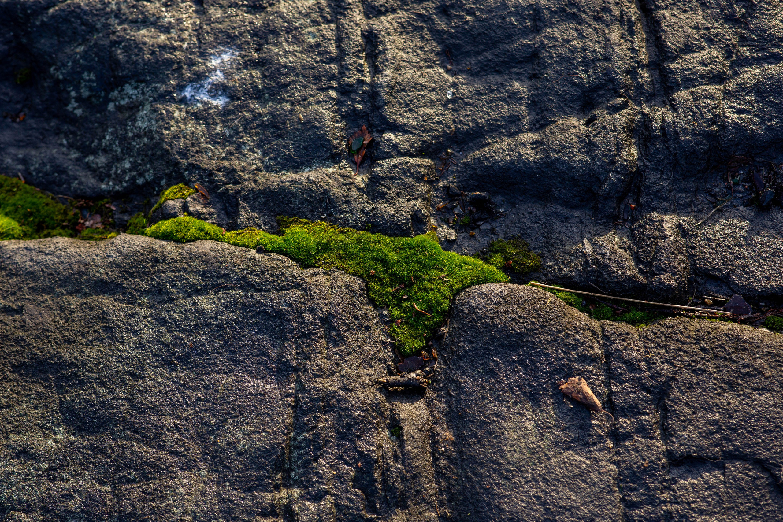 Мурманск. Репортажный и портретный фотограф Михаил Мартиросян