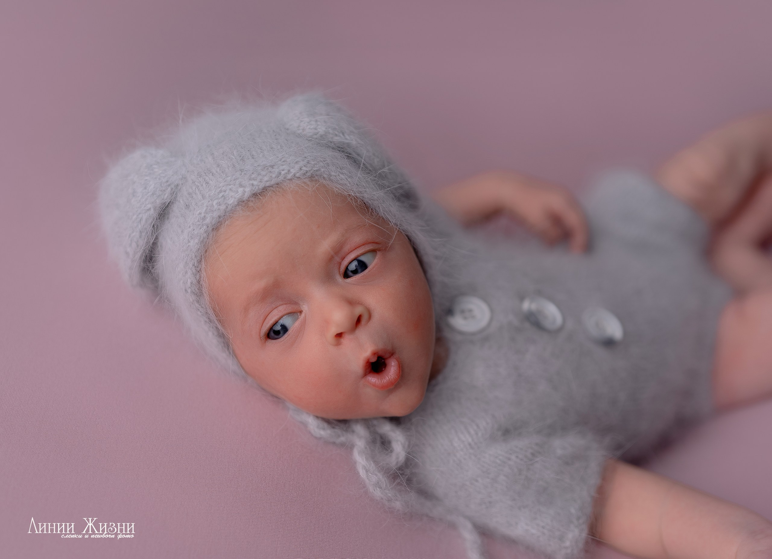 Цены на фотосессию. Фотограф новорожденных в Нижнем Новгороде Сергеева Оксана