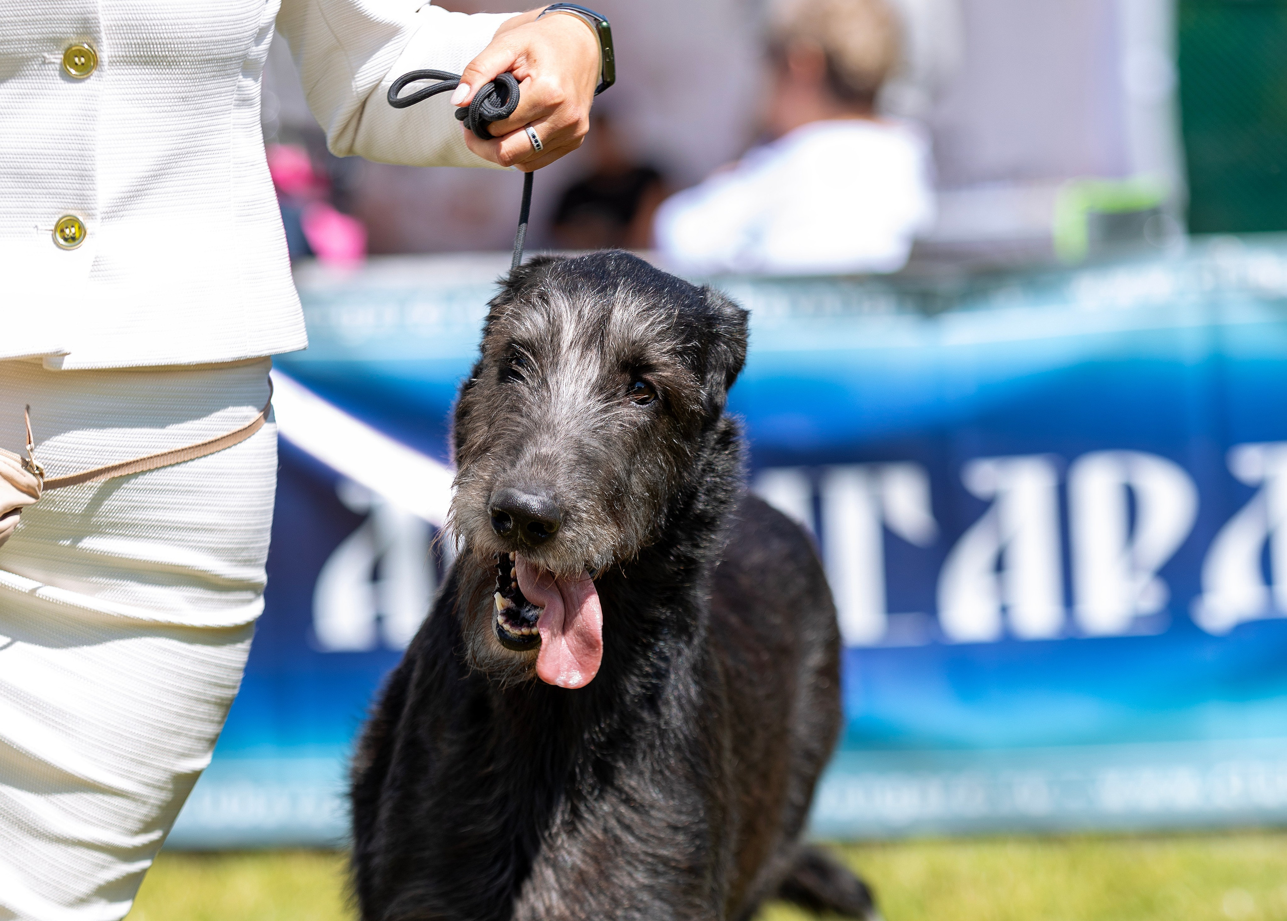 Фотограф — анималист Татьяна Ли