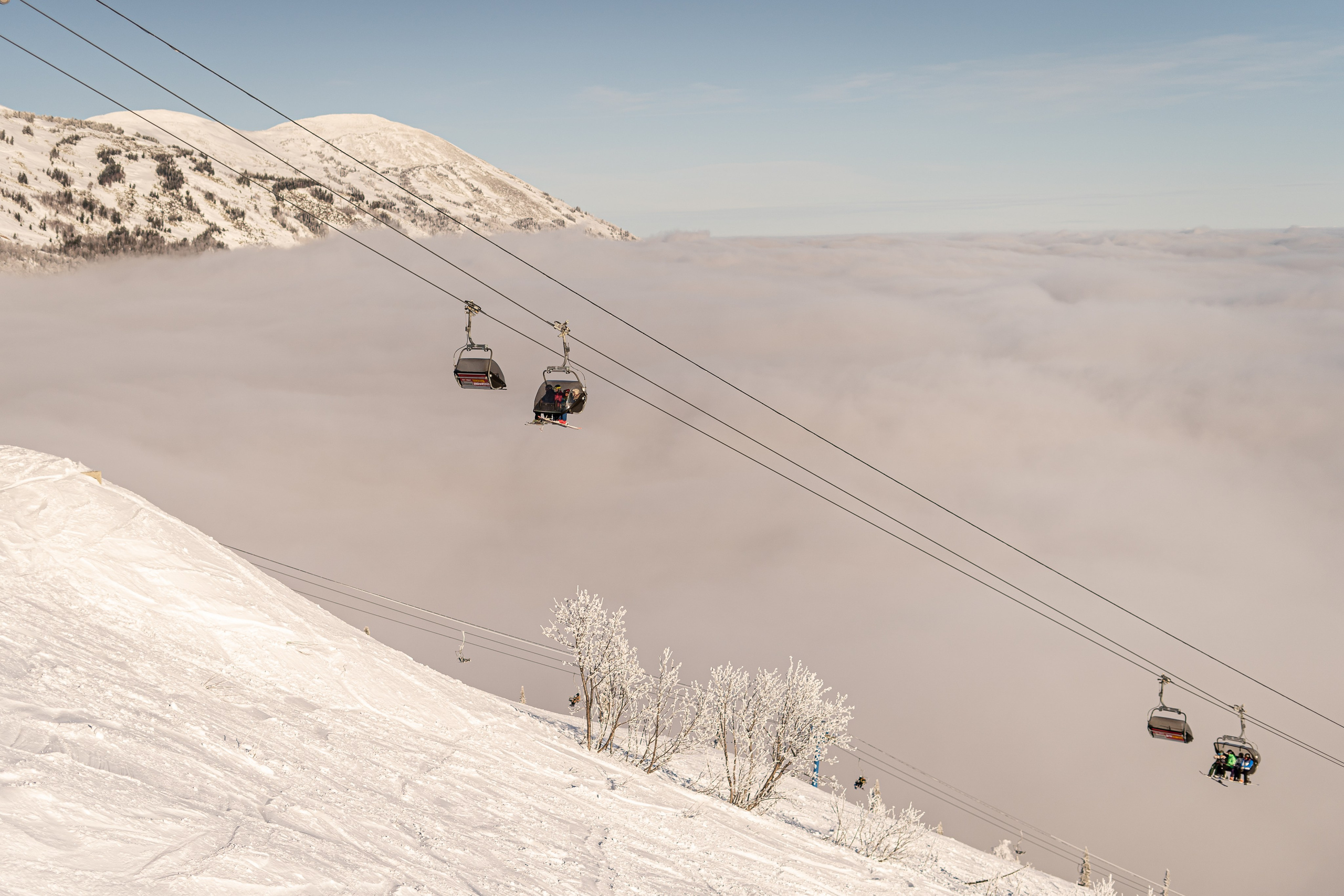 Джой 6.12. Анастасия Паршукова — фотограф Шерегеш Новосибирск