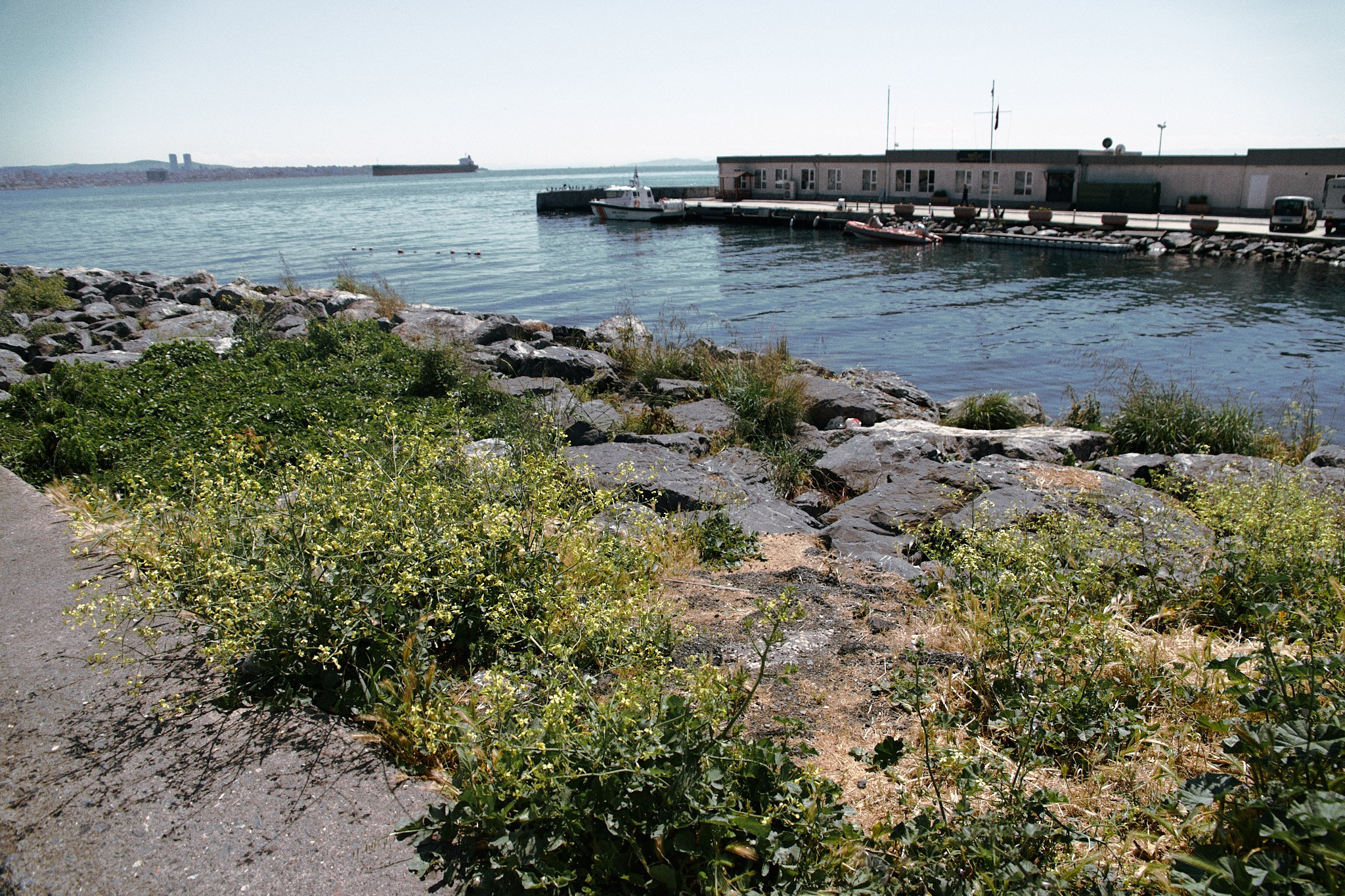 Улица горизонтальная. Jorgis — фотограф в Хургаде / обучение фотографии
