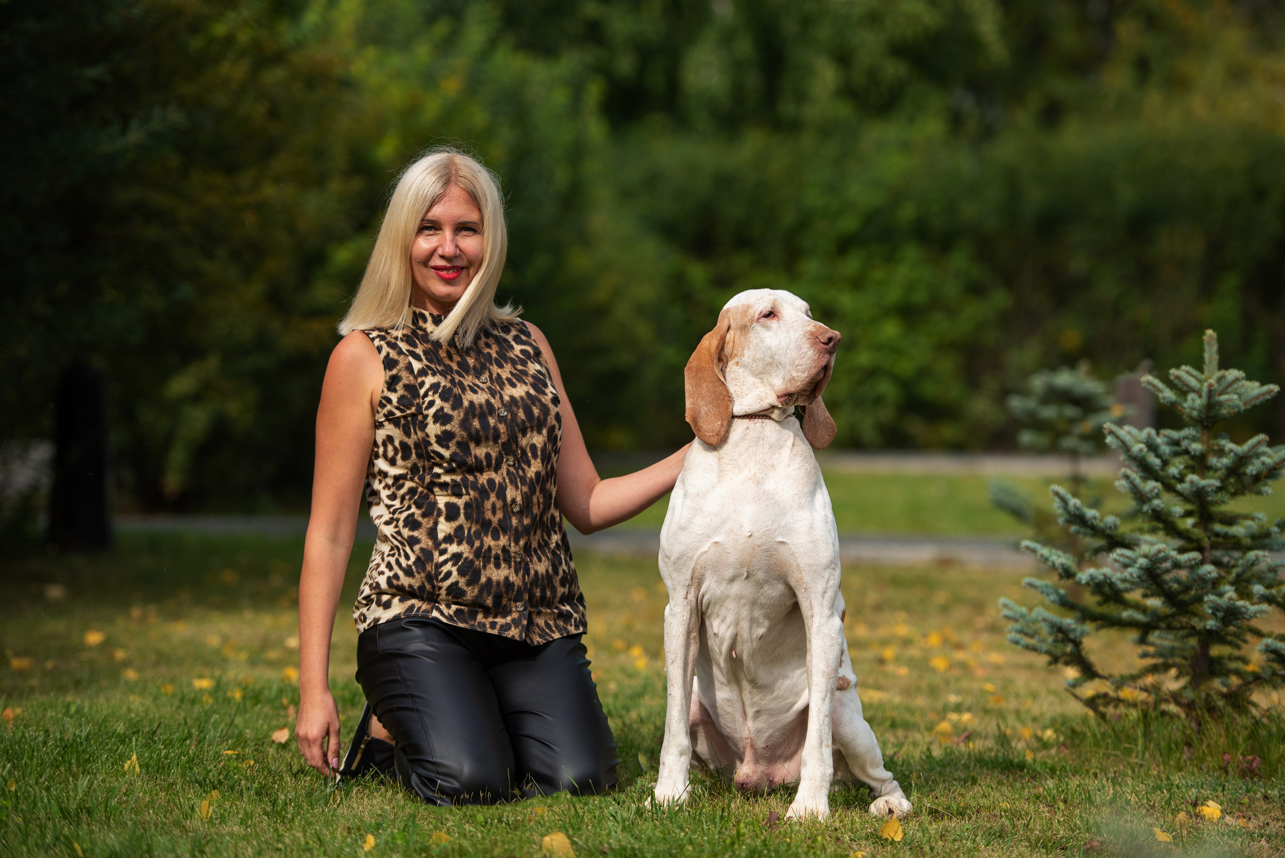 Выставка собак Тюмень 02.09.2023. Дог-фотограф в Тюмени Александра Королева