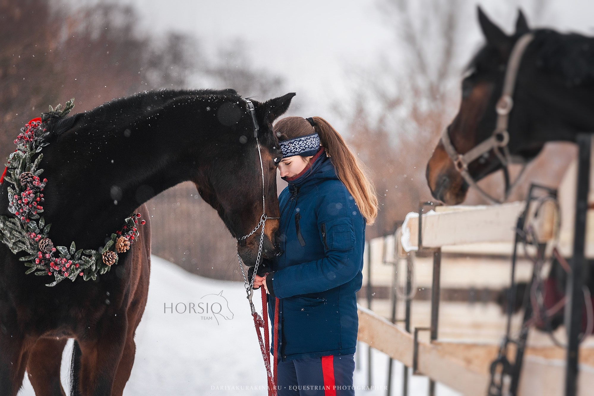 Димонс, HORSIO. Конный фотограф Куракина Дарья • Фотосессии с лошадьми