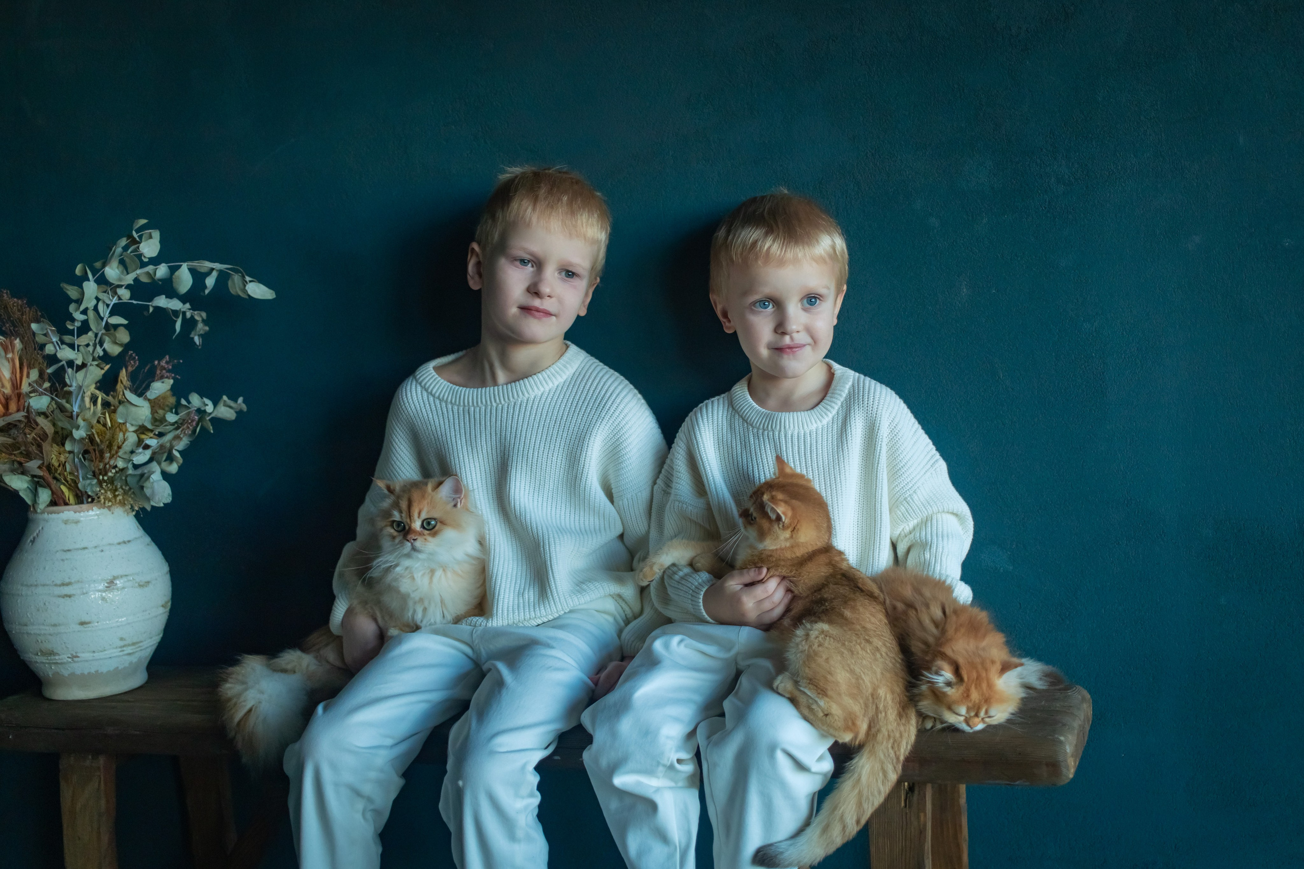 Детская фотосессия с котятками в студии в СПБ