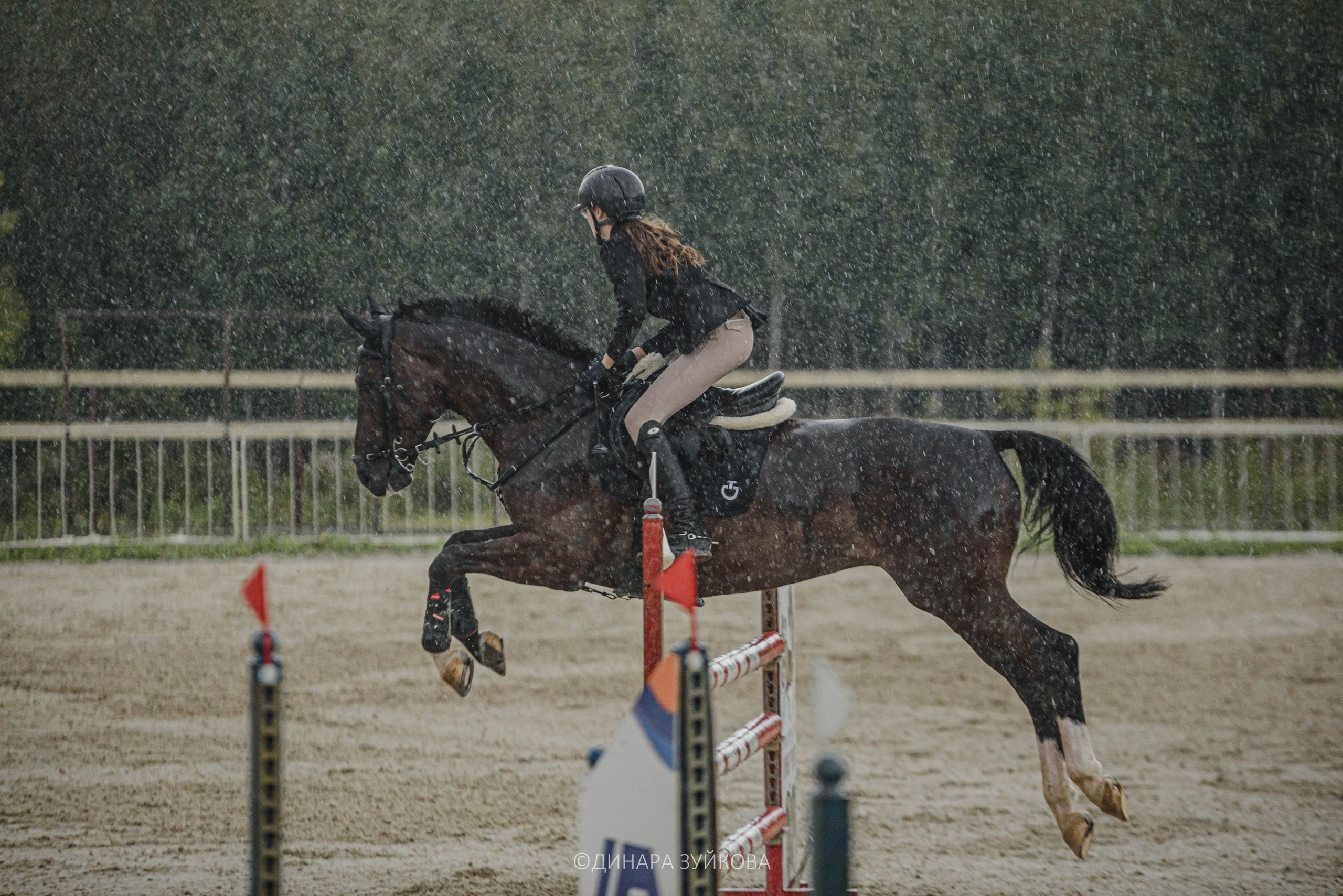 Кони. Мотофотограф в Нижнем Новгороде Динара Зуйкова