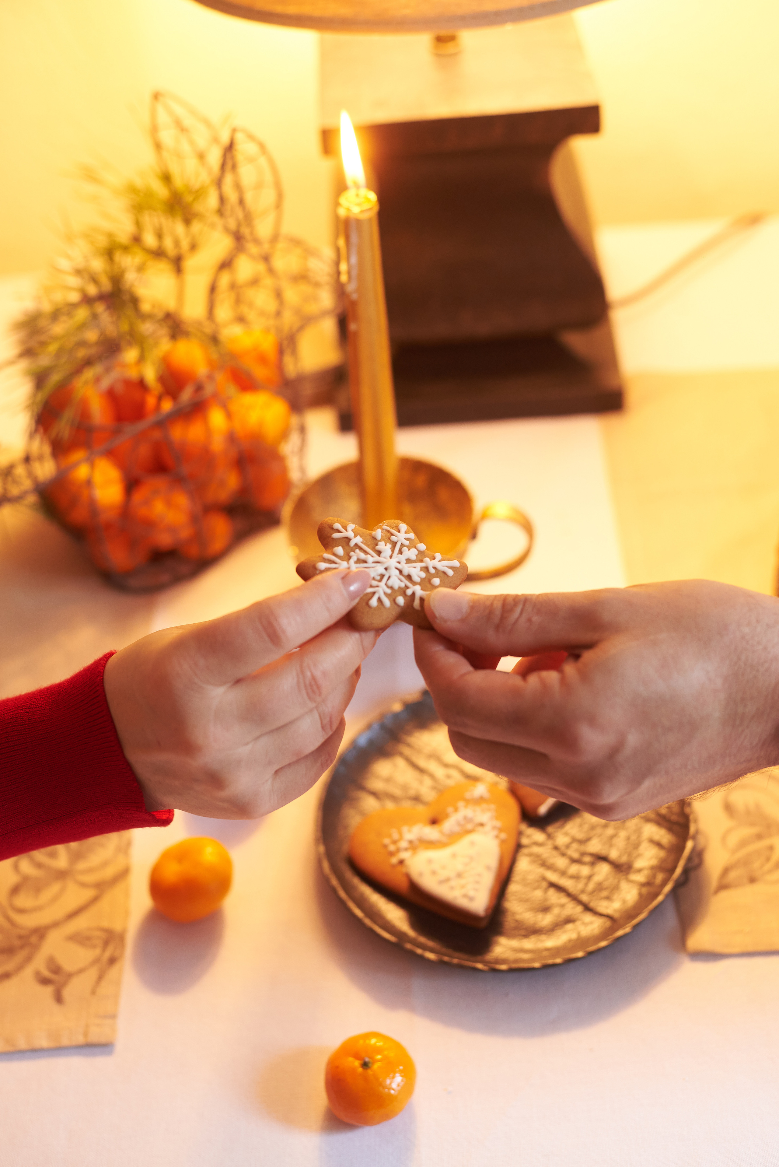 Рождество. Семейный фотограф в Барнауле, Горный Алтай, Заринск, Алейск