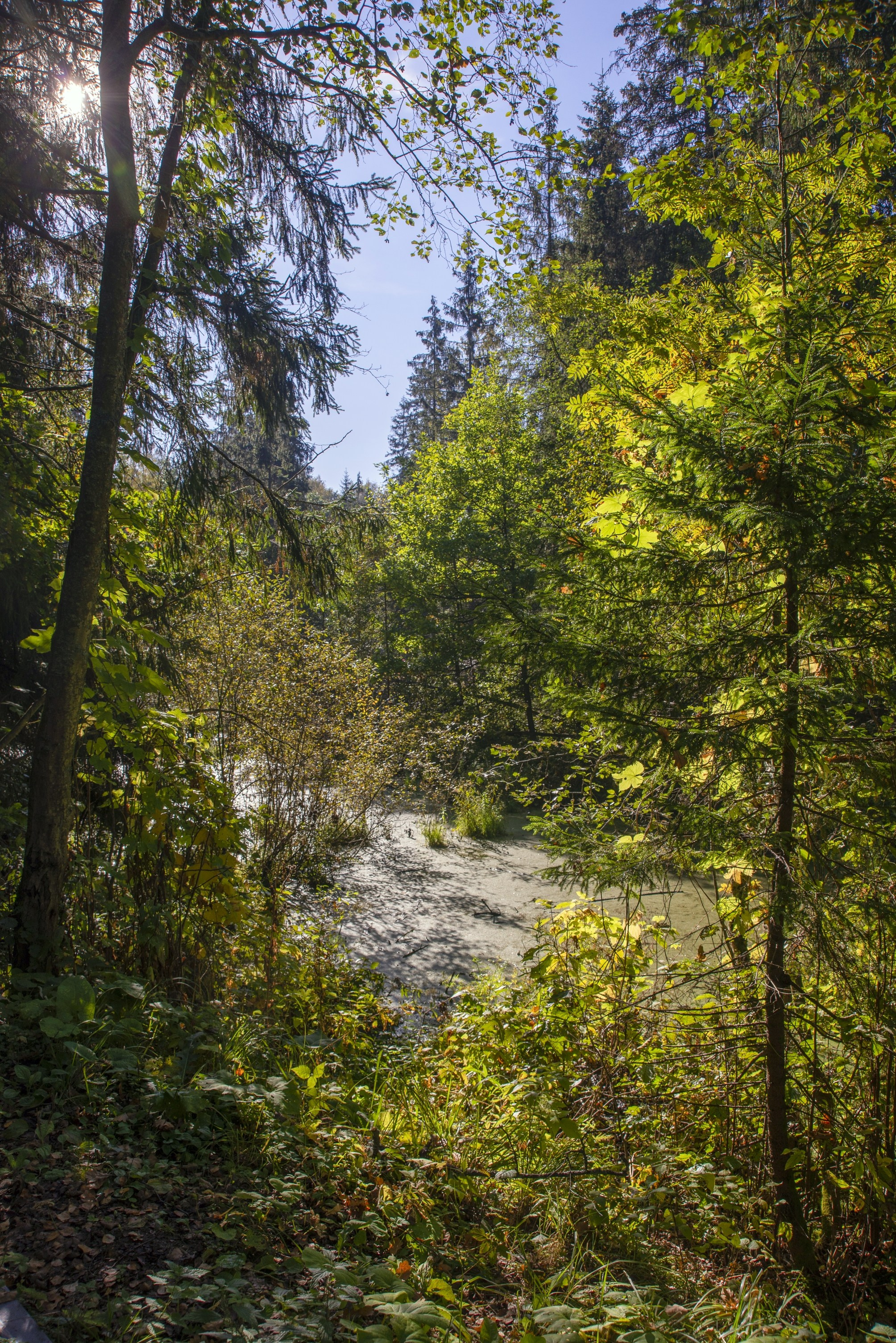 Абрамцево. Сентябрь 2023. Игорь Жучков. Россия увиденная глазами путешествующего фотографа