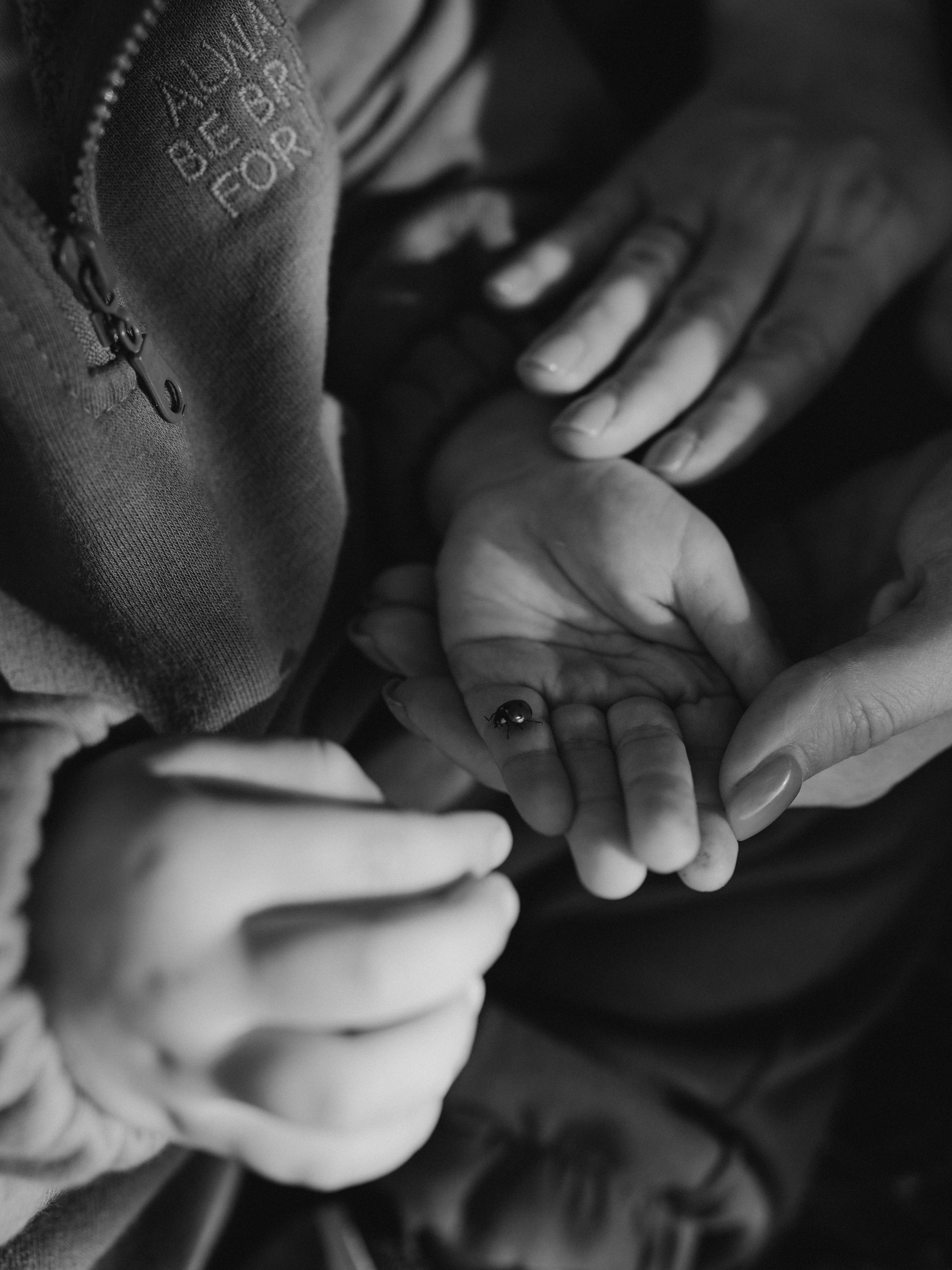 Семейная съемка Виктории, Максима, маленького Матвея. Свадебный фотограф Ирина Беляева Пятигорск|Кисловодск|Эльбрус|Домбай