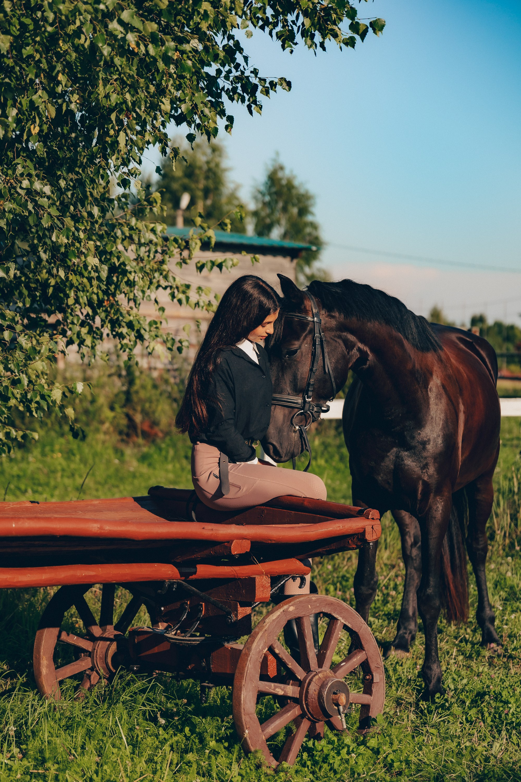 Самая большая любовь Софии 🐴✨. Профессиональный фотограф Natali Aieteia