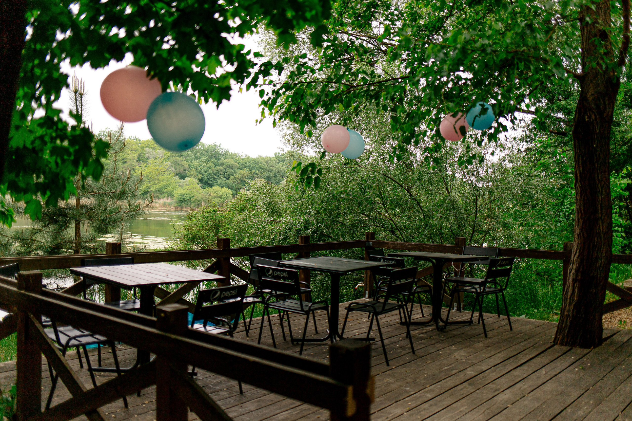 Гендер-пати. Свадебный фотограф Кропоткин Краснодар