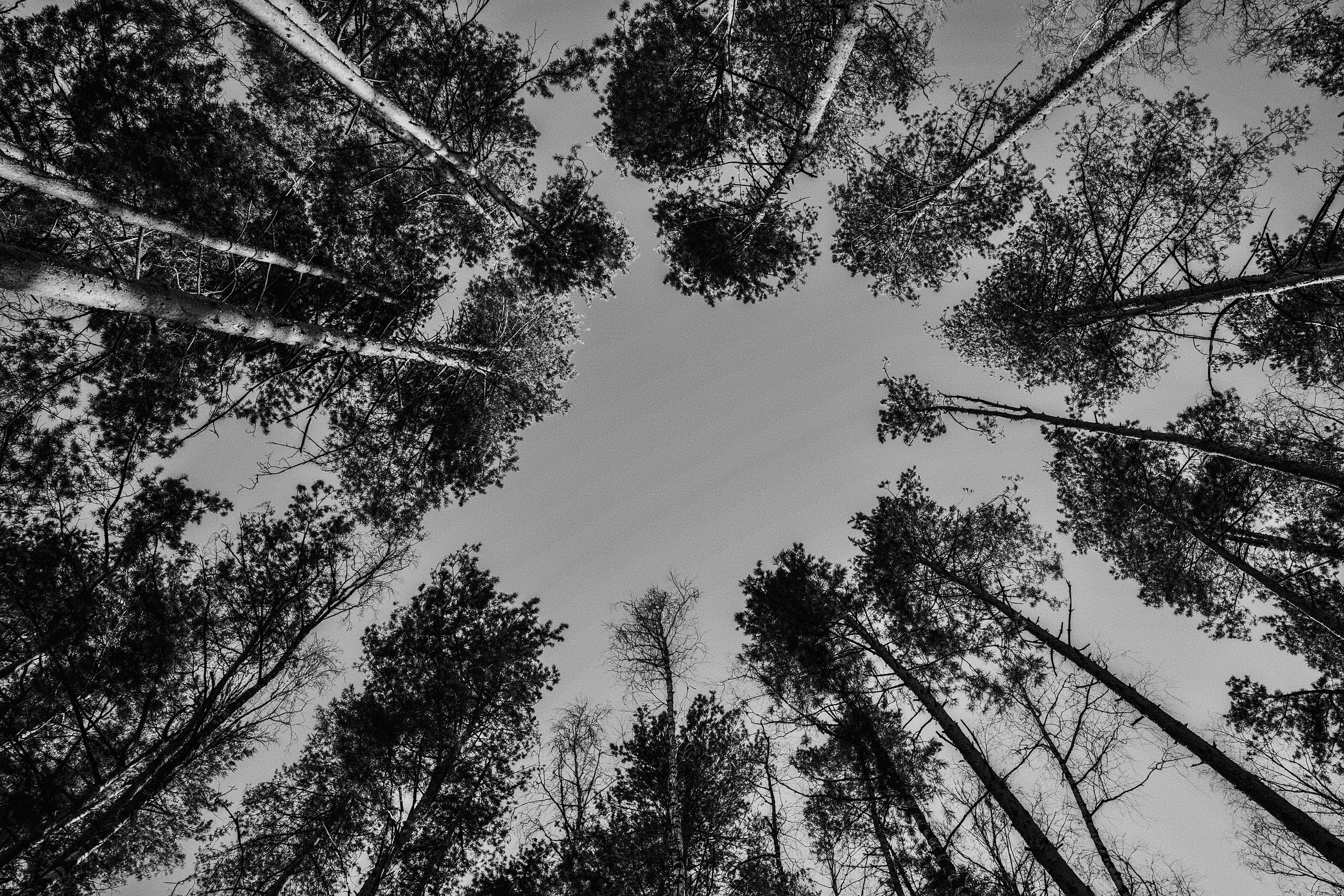 NATURE. Репортажный и уличный фотограф в Щёлково Александра Пименова