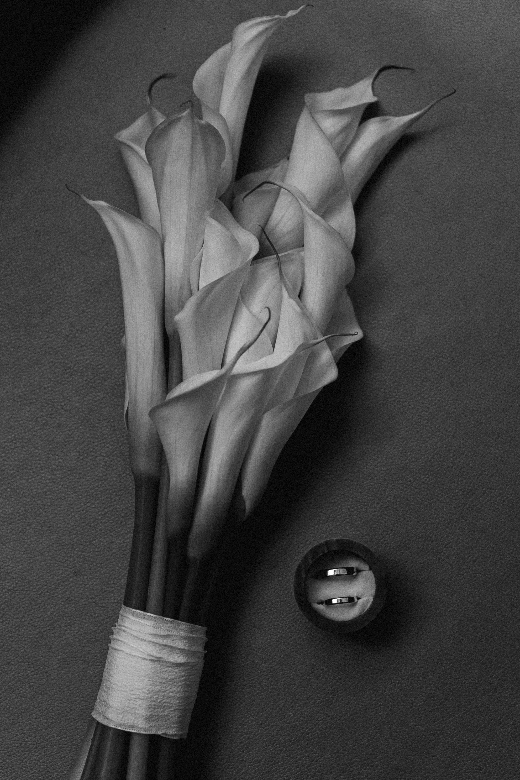 DIMA & LISA | KISLOVODSK. Фотограф Настя Конник | Пятигорск | Эльбрус | Домбай | Архыз