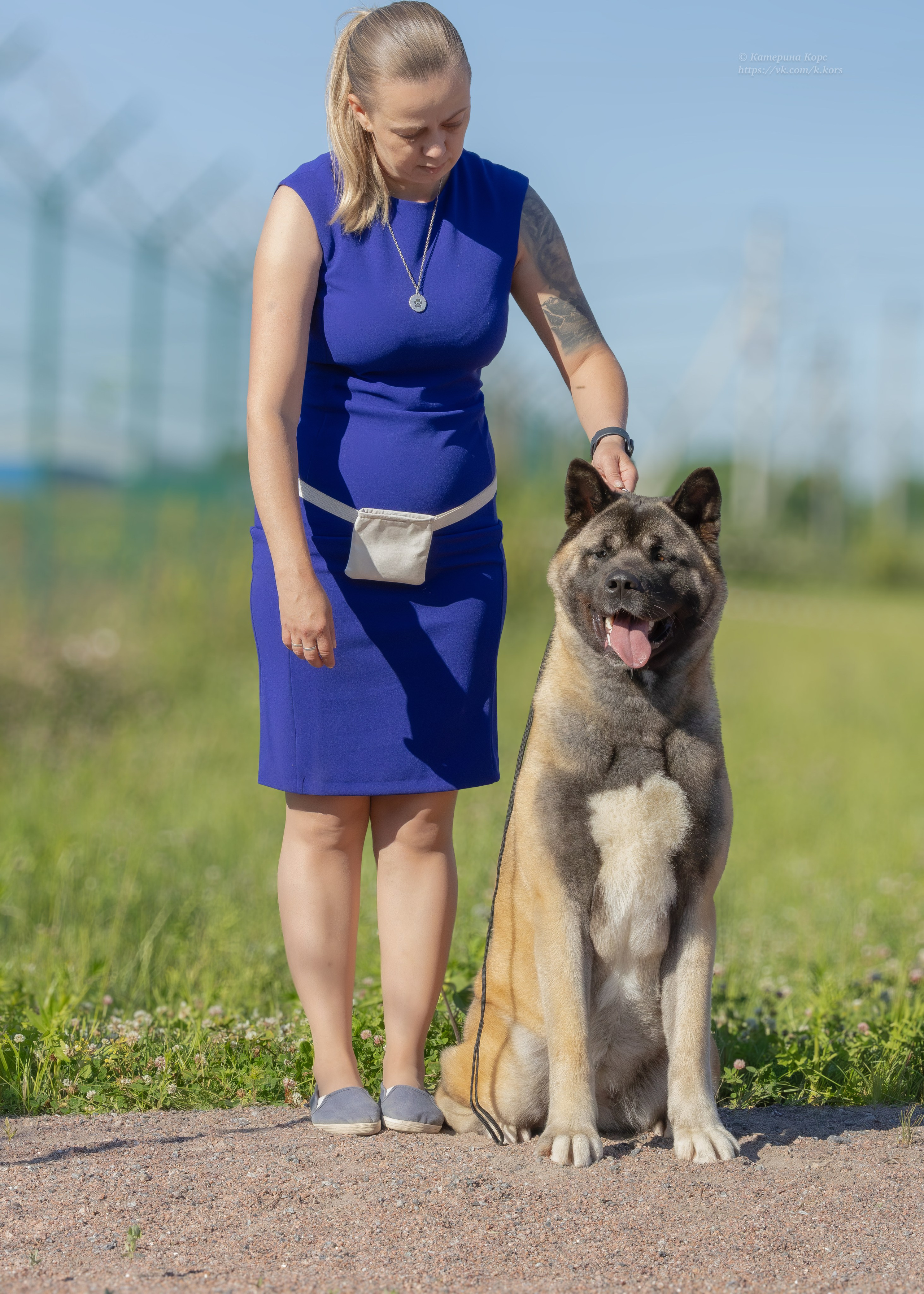 Выставки. Главная