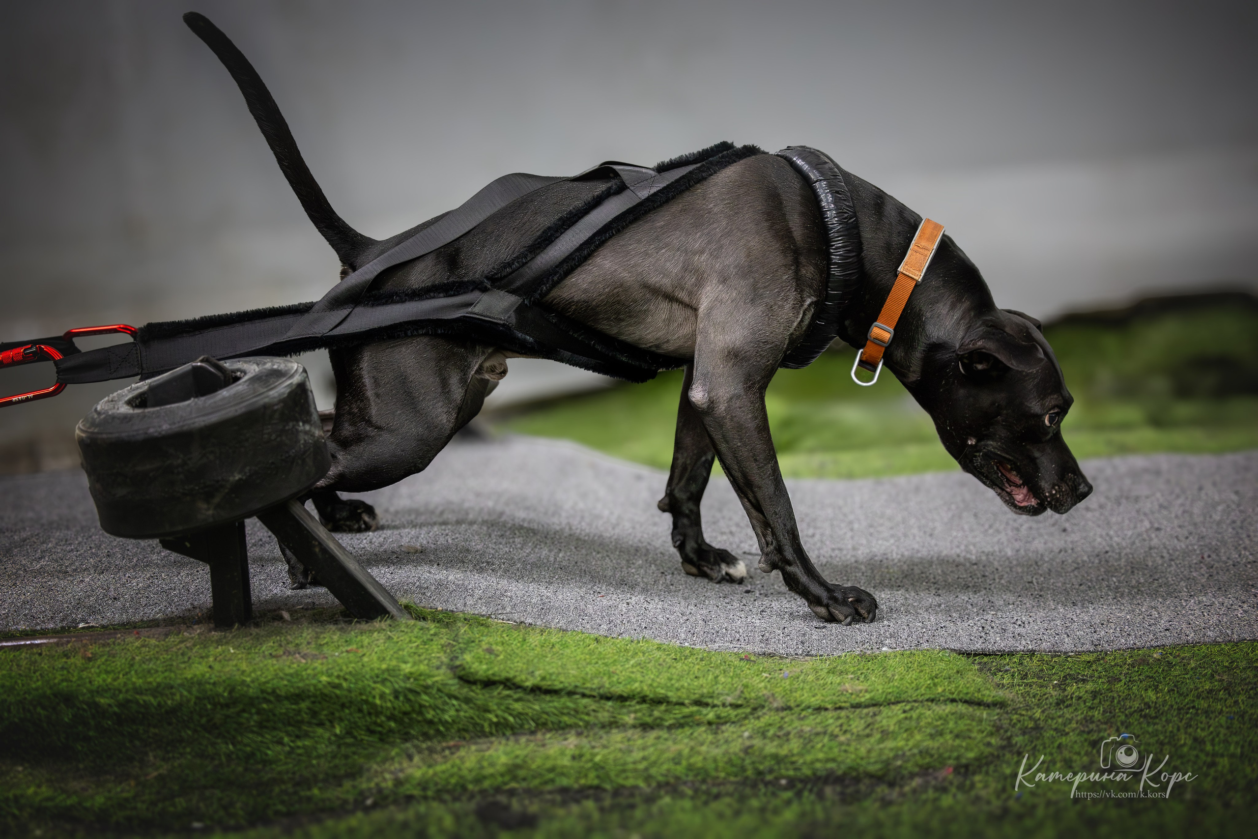 Спорт. Главная