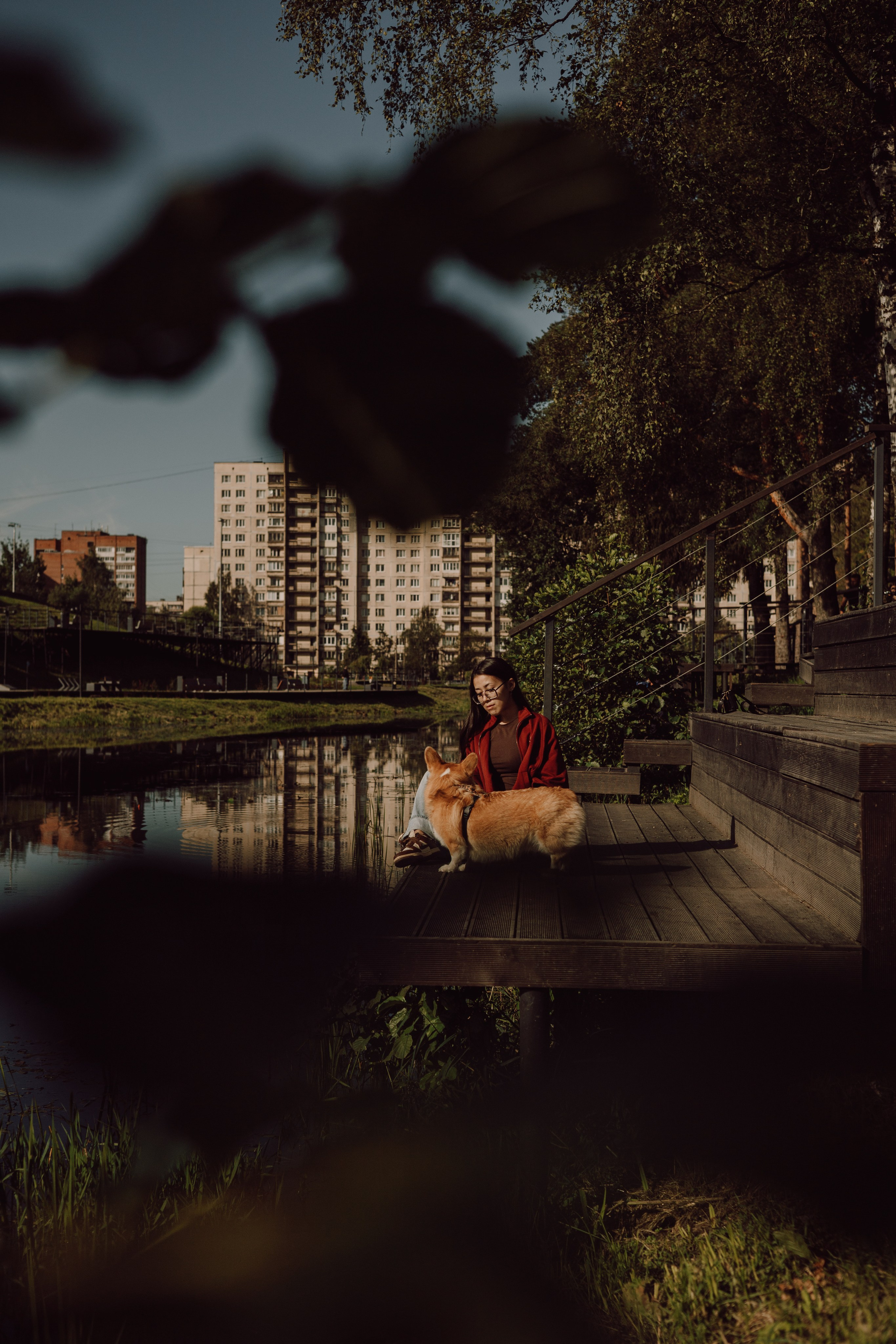 Йосик и его Мари. Фотограф — анималист •love-story•|Санкт-Петербург