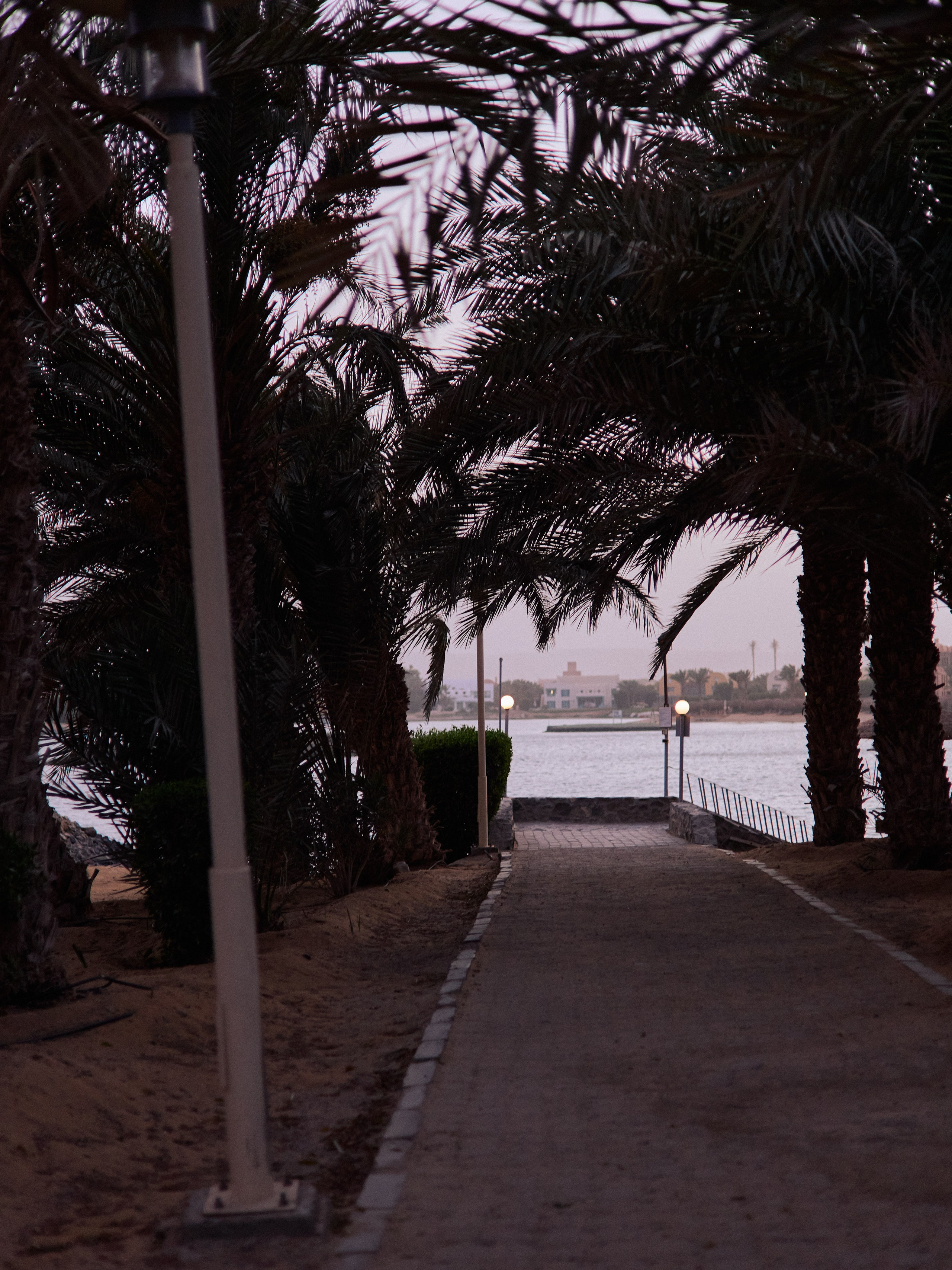 Другое 2. Jorgis Talè — photographer, kind person, teacher of arts and other mag