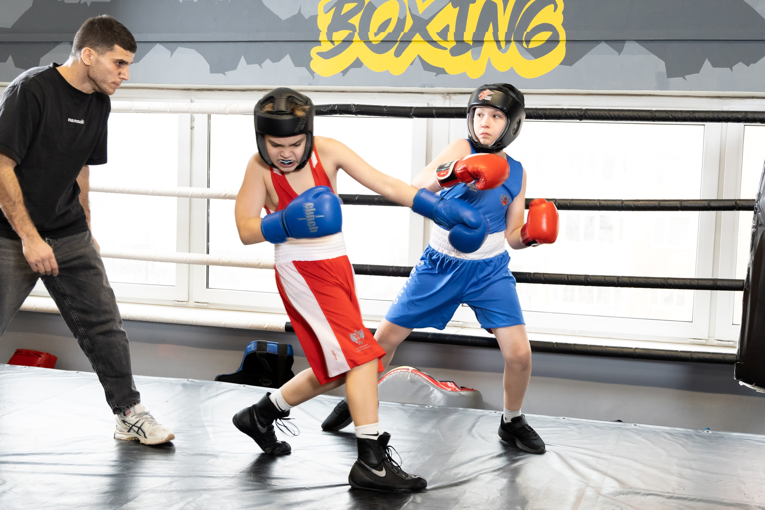 Бокс. Photomantis