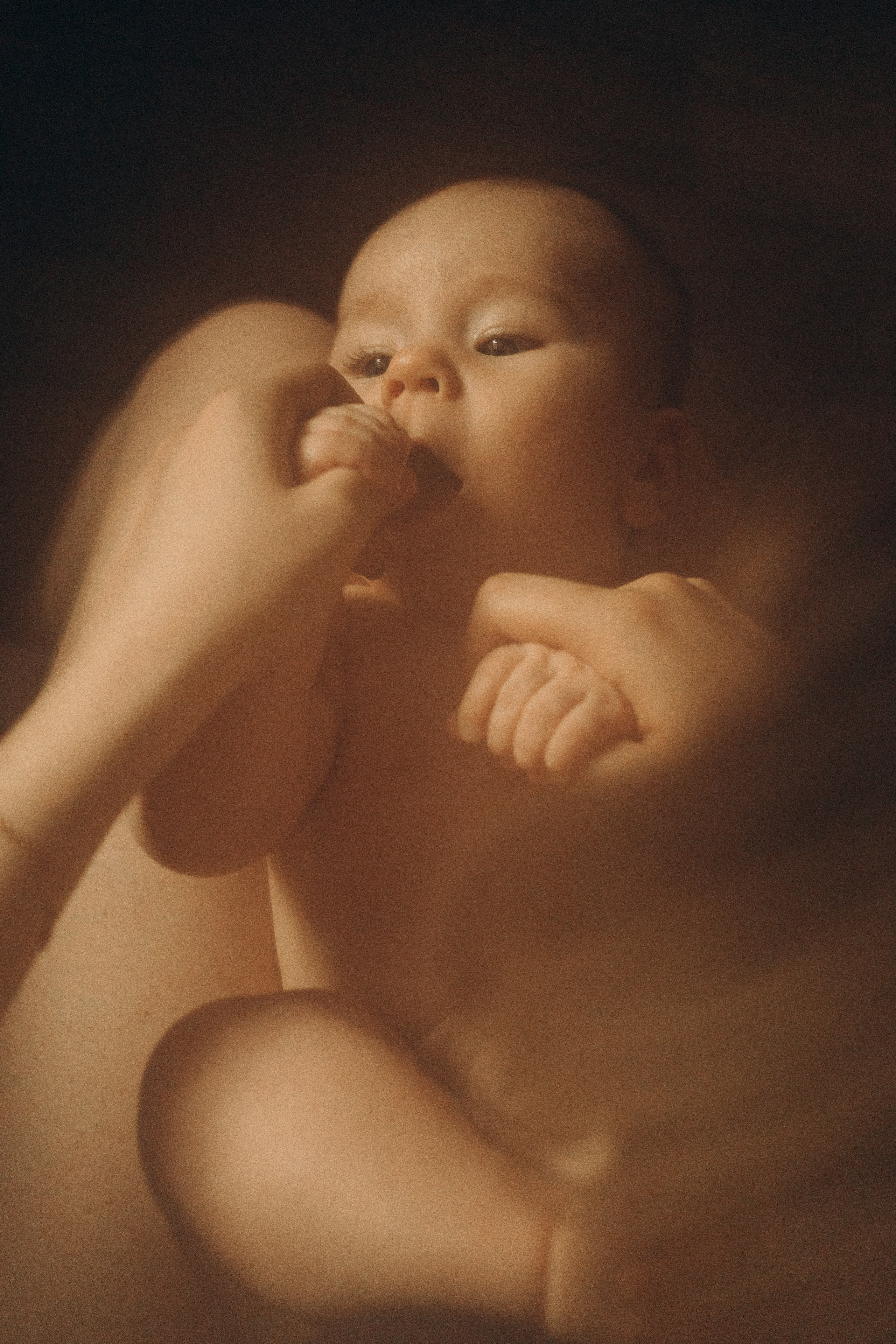 Материнство. Семейный фотограф Новосибирск Фотограф на выписку Новосибирск