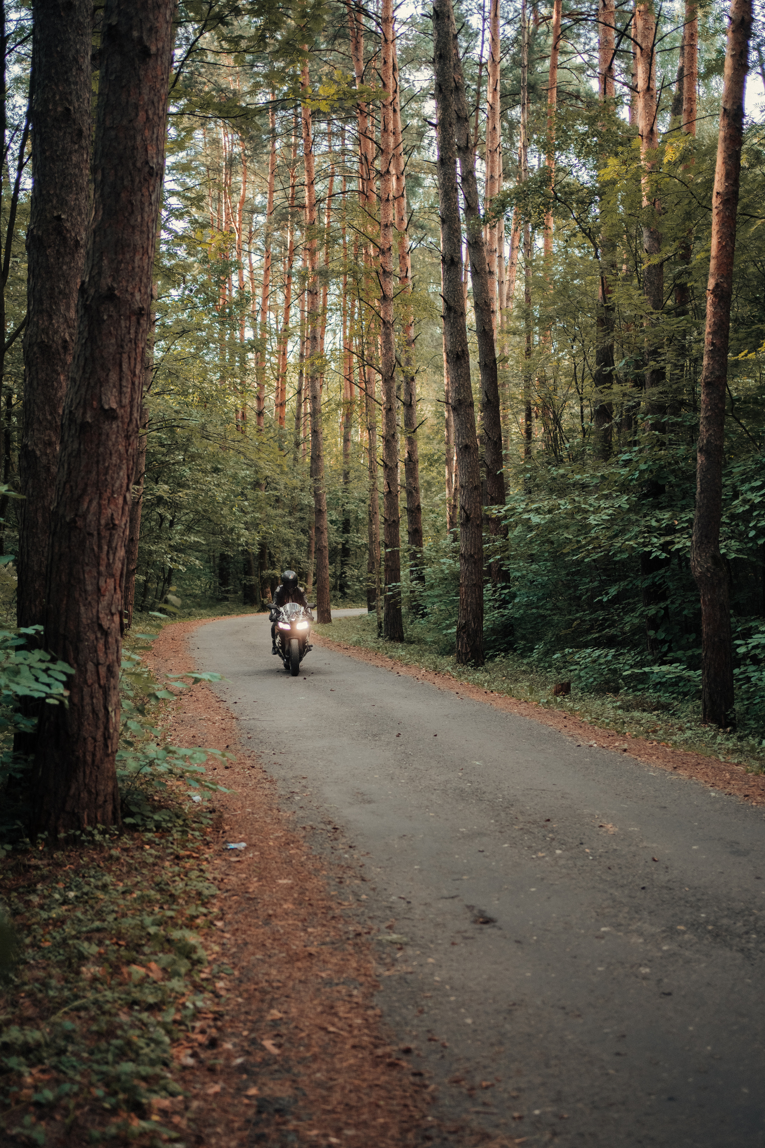 Лавстори на мотоциклах. Семейный фотограф в Москве и в Домодедово Екатерина Патракова