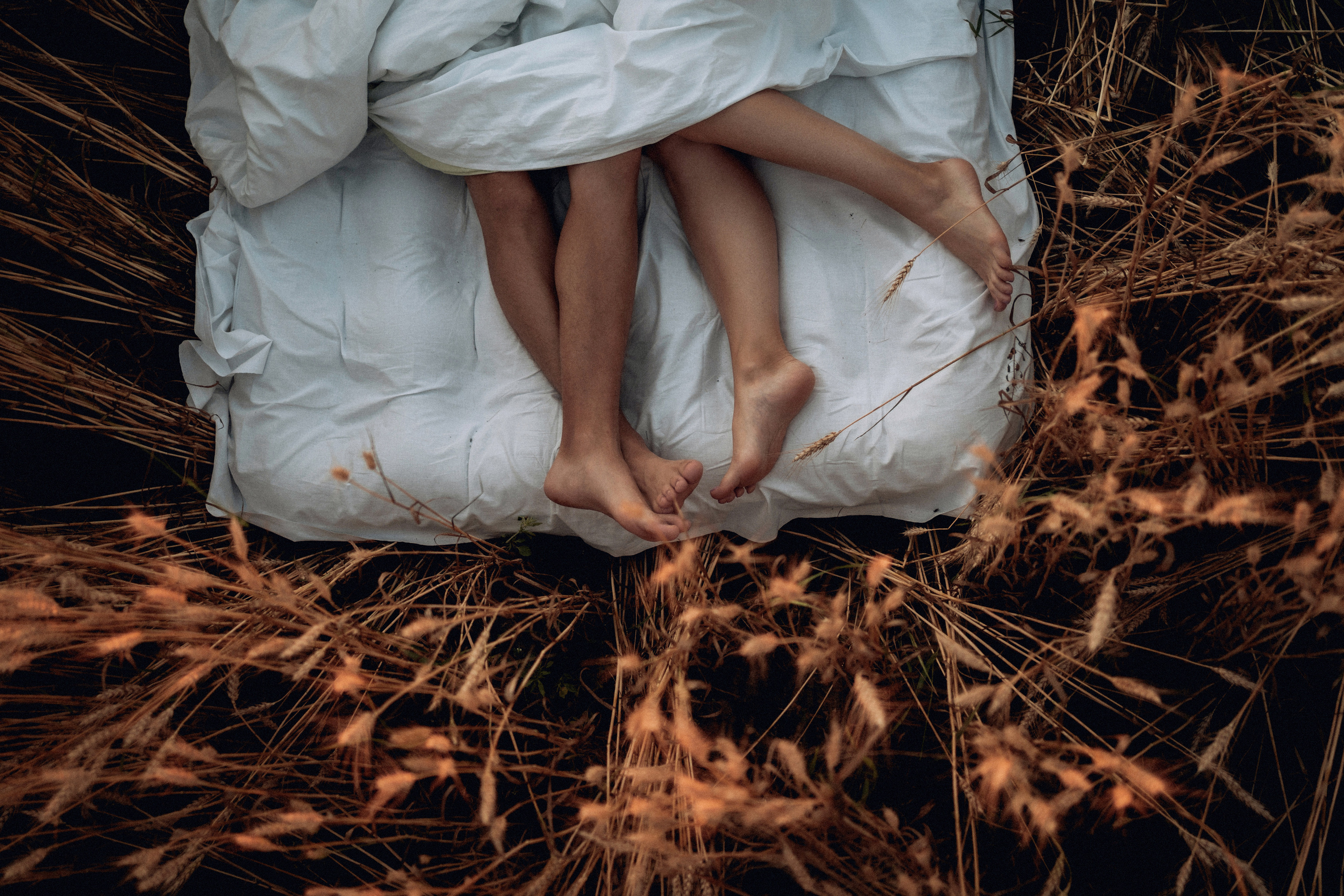 Влюбленная пара в пшеничном поле. Семейный фотограф в Москве и в Домодедово Екатерина Патракова