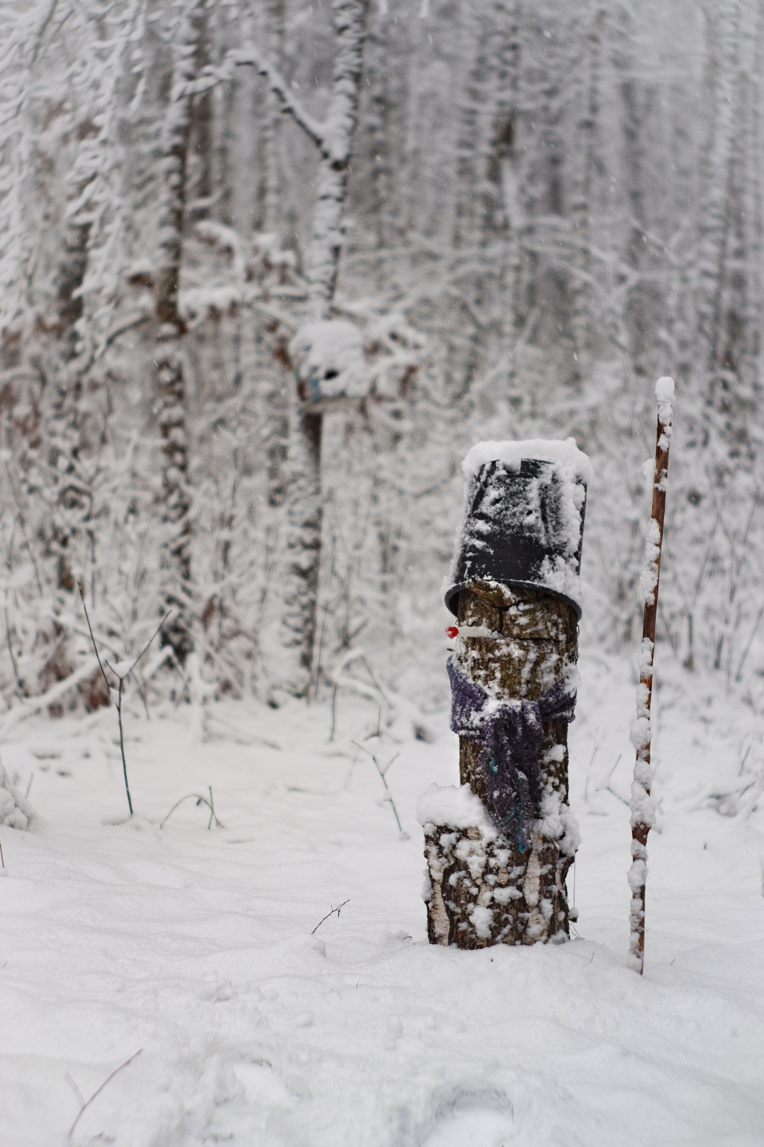 ЧБ  пейзажи (BnW landscape). Фотограф (photographer) Lischinski Vitaliy