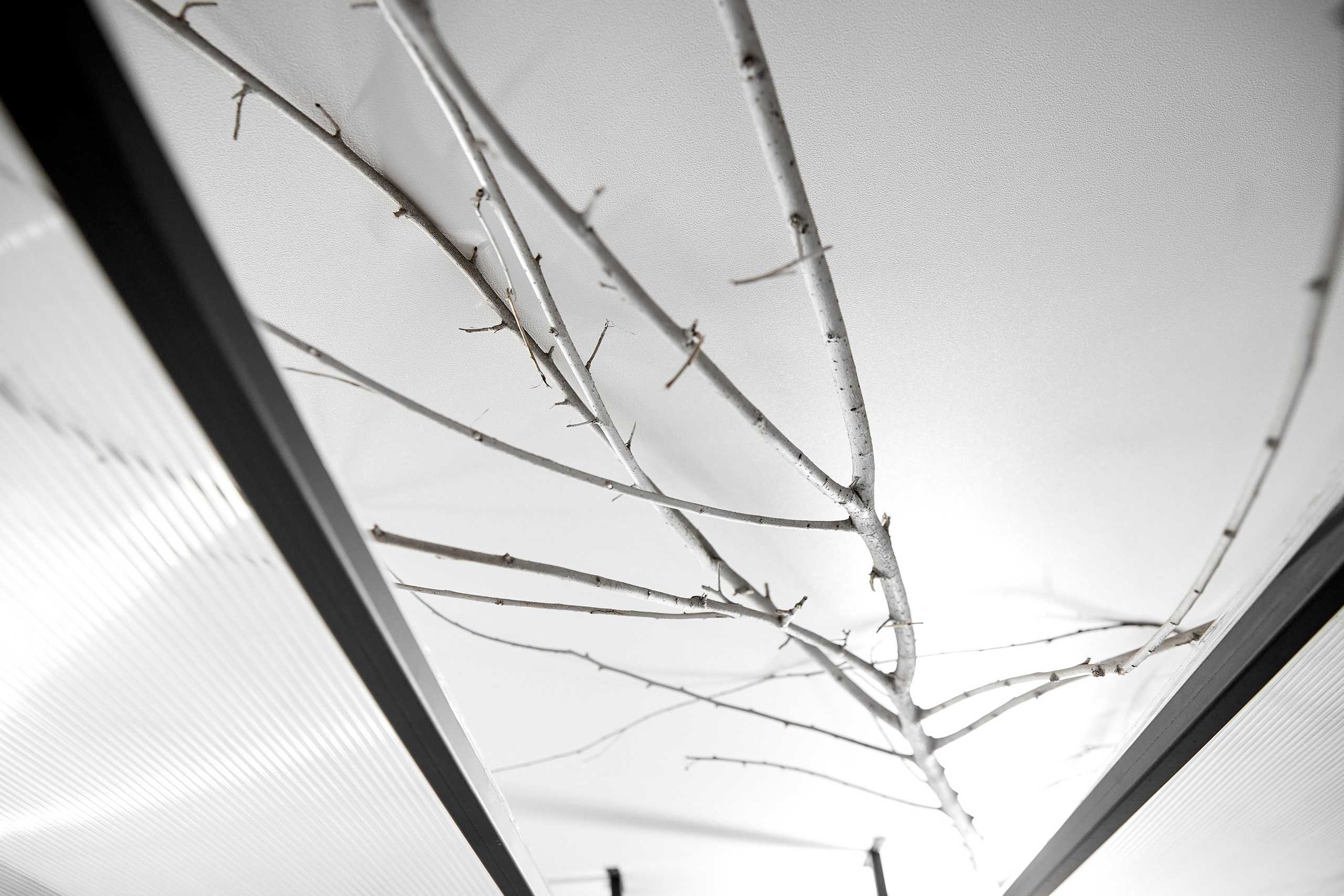 Любовь к лету. Свадебный фотограф в Ульяновске Александр Никитин