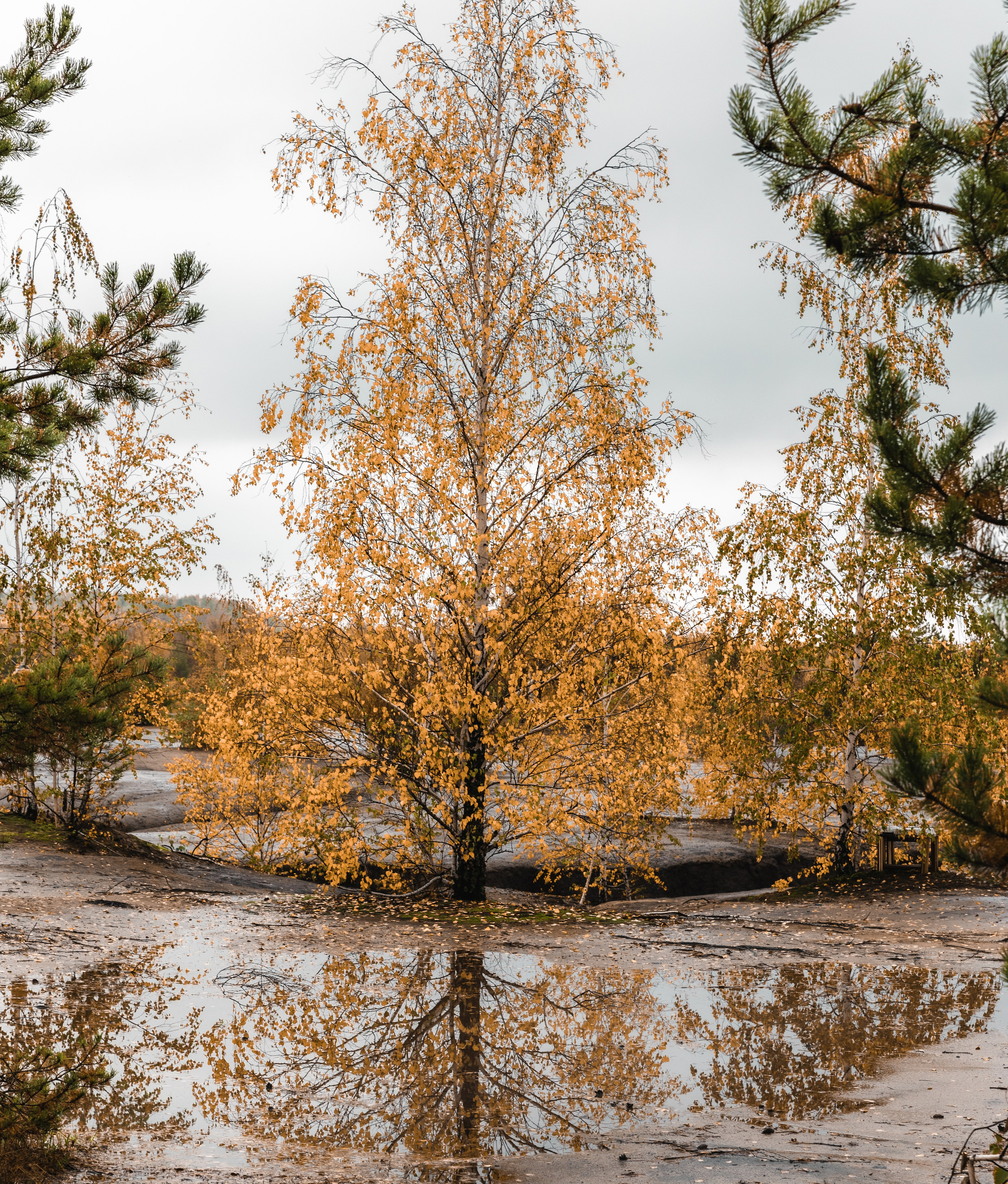 Кондуки. Октябрь 2023. Фотографии