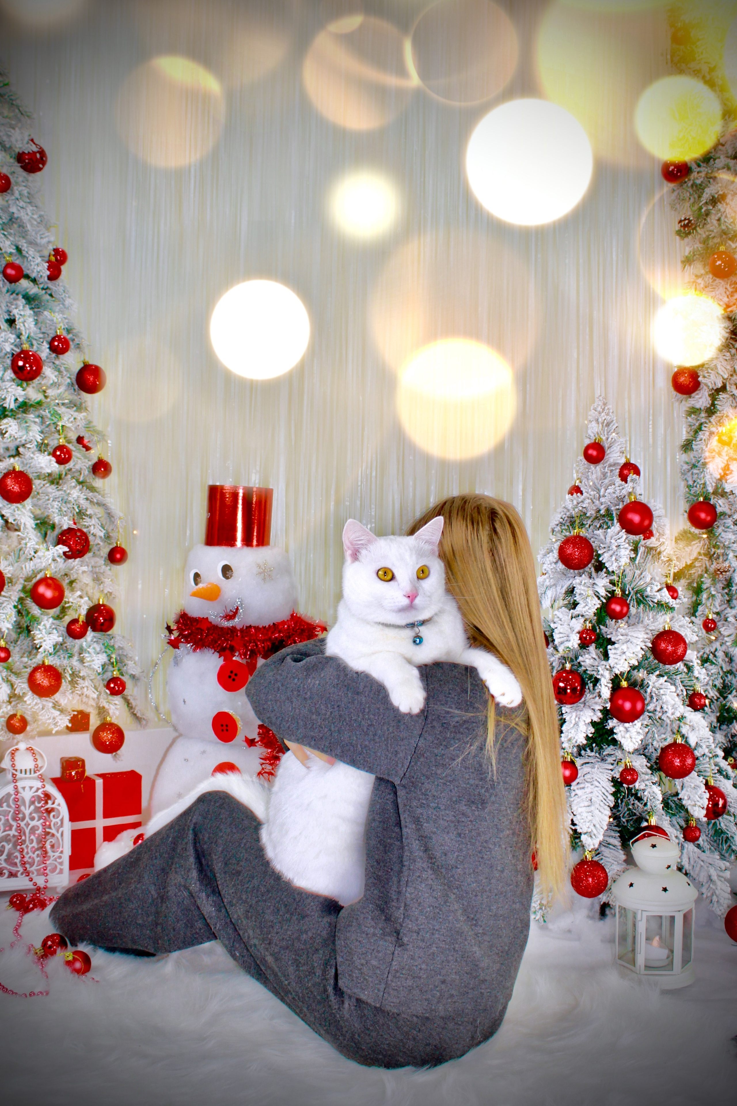 Скоро Новый Год. Портфолио