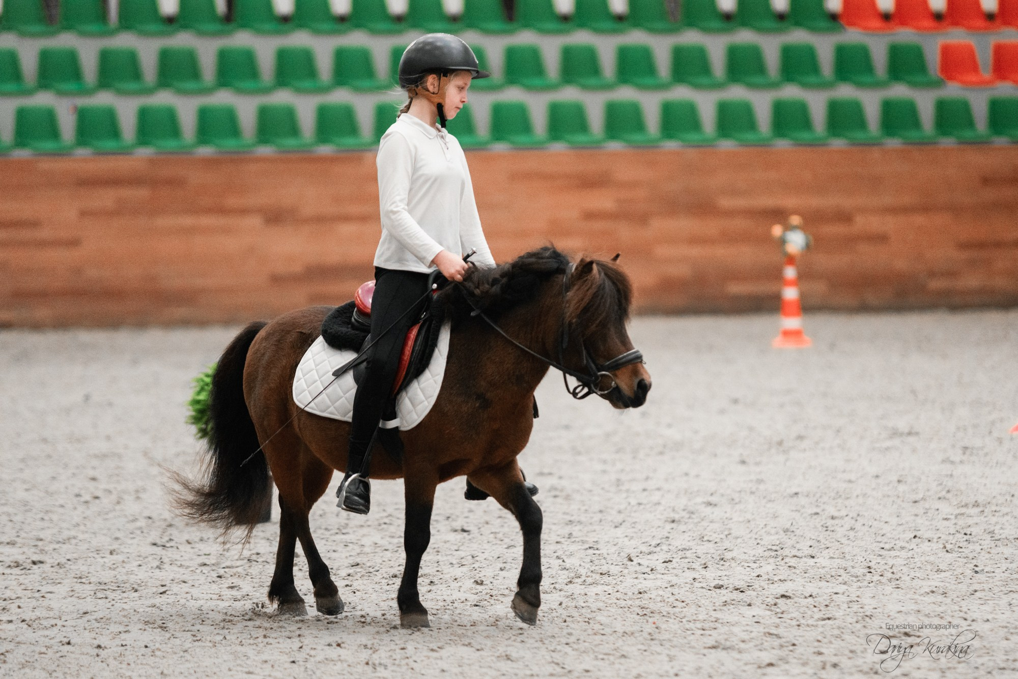 8-я международная выставка Конная Россия. Конный фотограф Куракина Дарья • Фотосессии с лошадьми