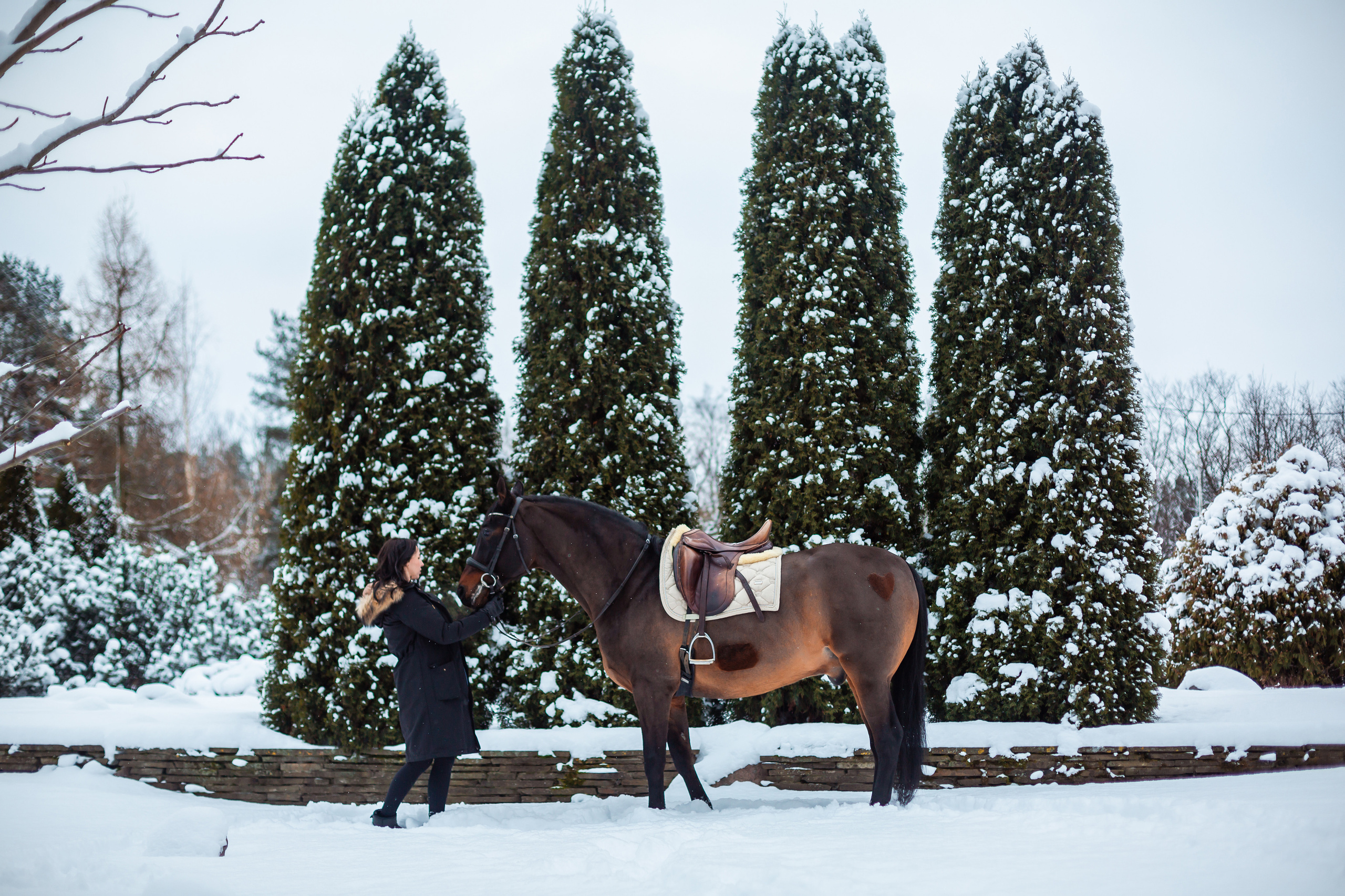 ФОТОСЕССИИ С ЖИВОТНЫМИ. Свадебный фотограф Санкт-Петербург Катерина Ширяева