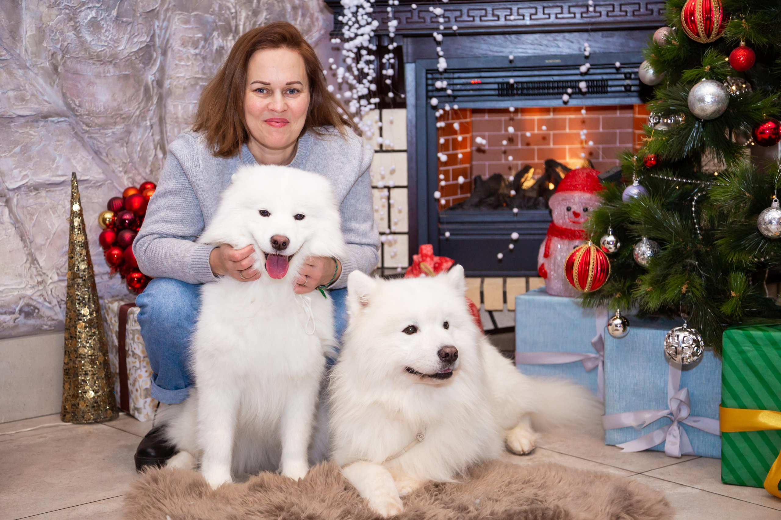 КОРПОРАТИВЫ И ПРАЗДНИКИ. Свадебный фотограф Санкт-Петербург Катерина Ширяева