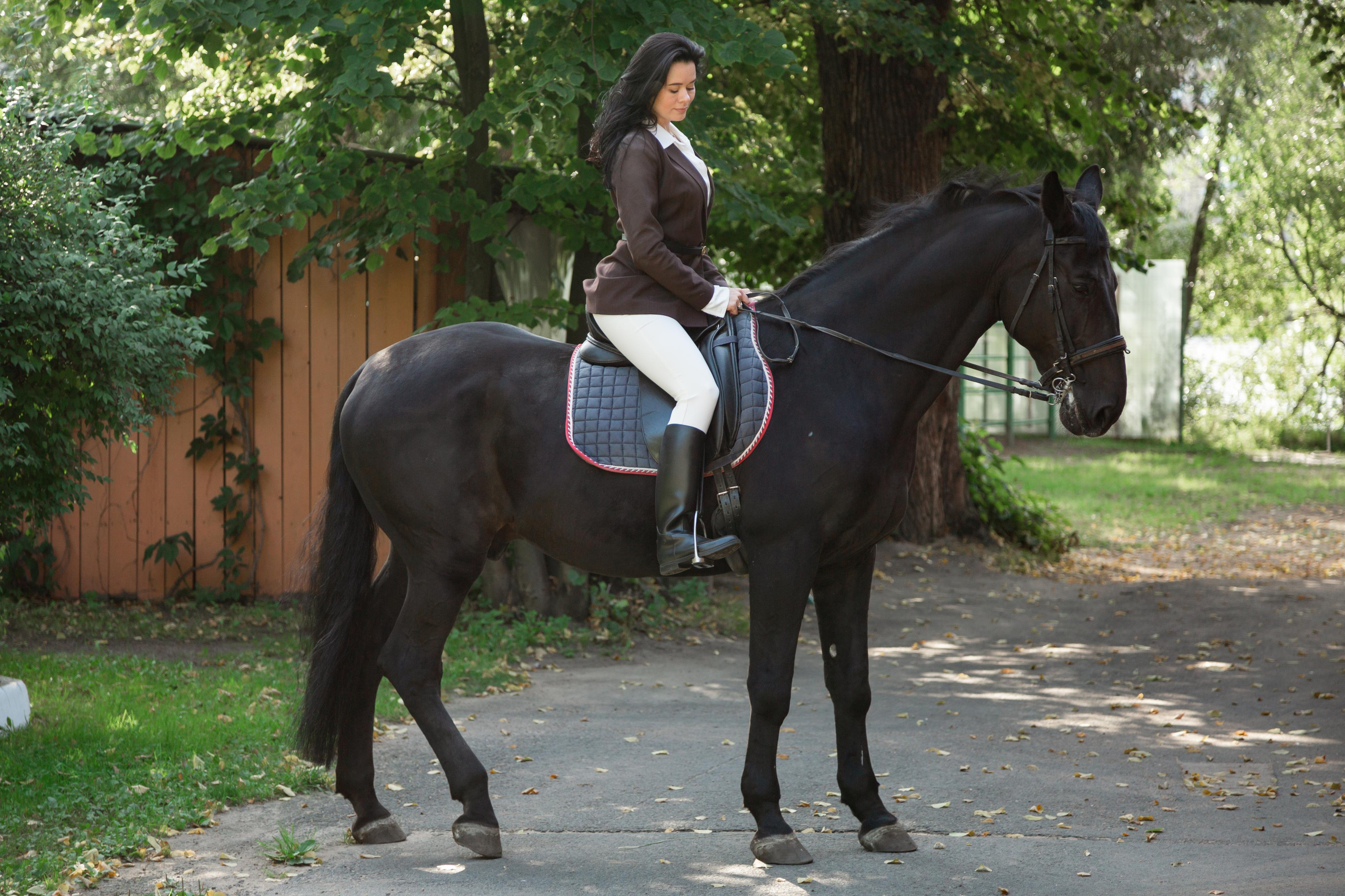 ФОТОСЕССИИ С ЖИВОТНЫМИ. Свадебный фотограф Санкт-Петербург Катерина Ширяева